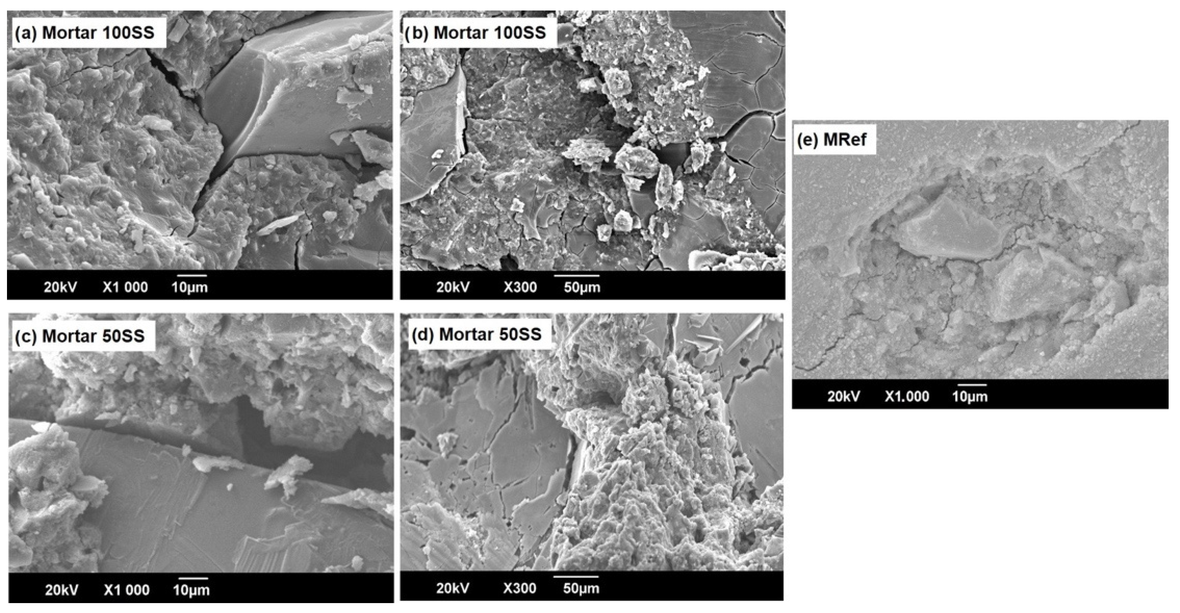Coatings 12 00035 g006 550