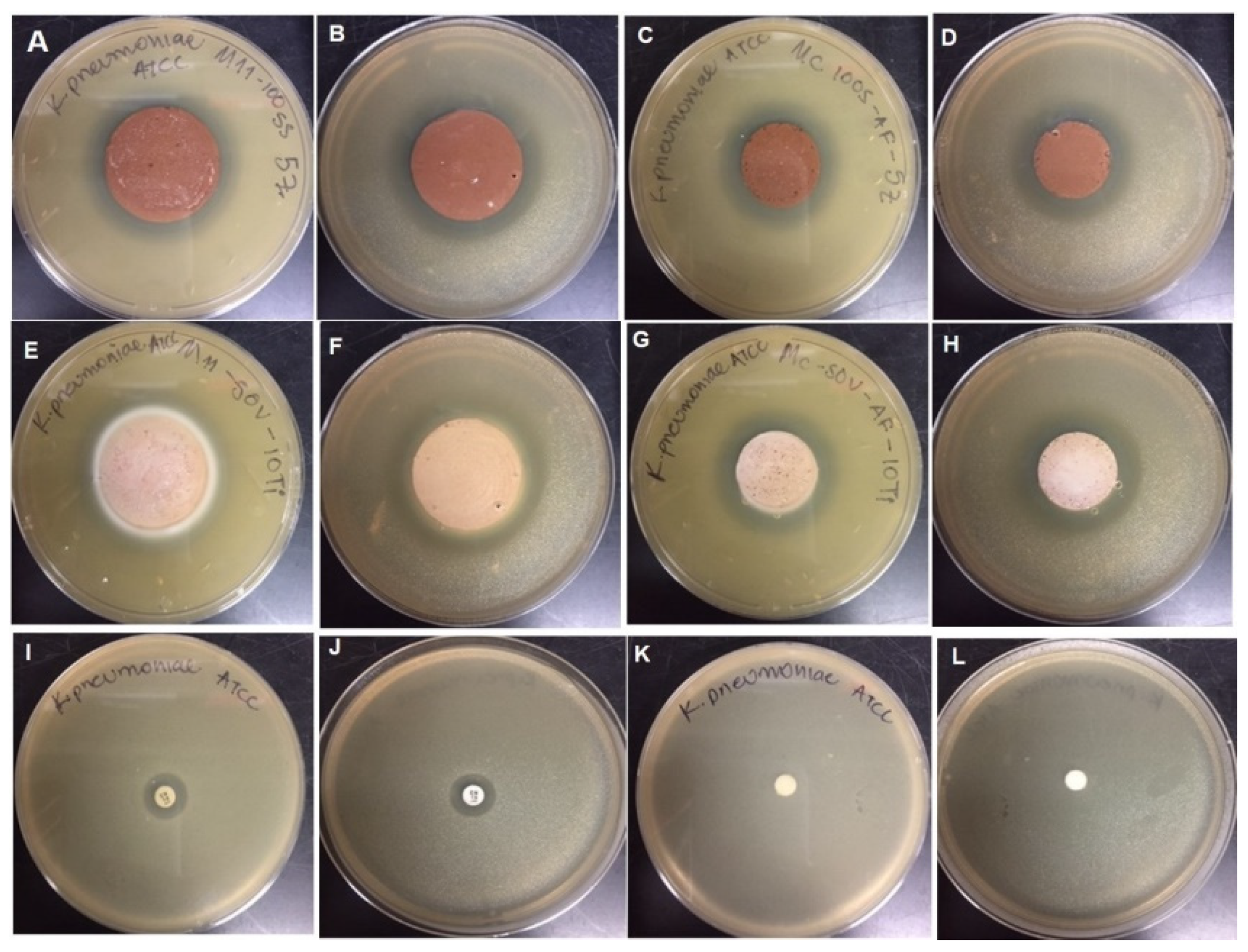 Coatings 12 00035 g010 550