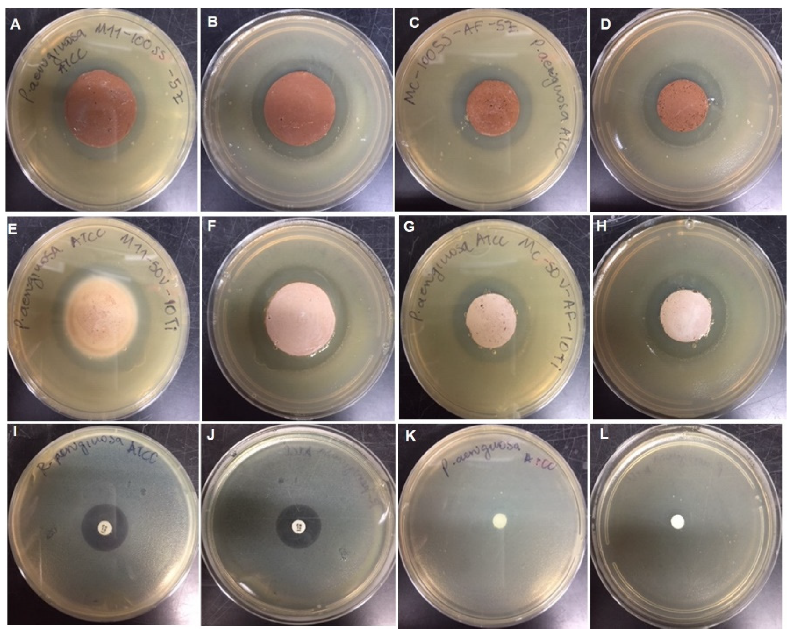 Coatings 12 00035 g011 550