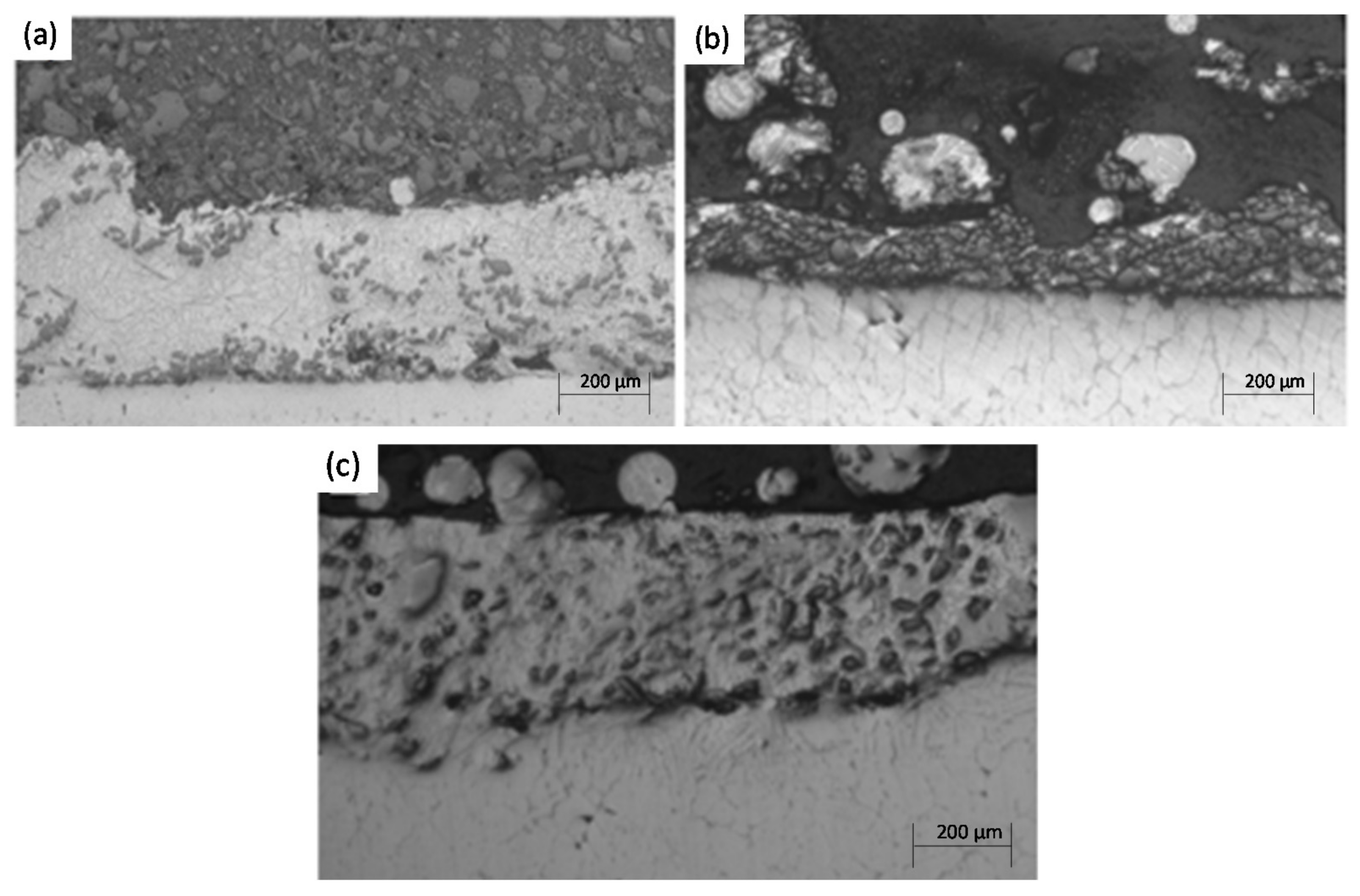 Coatings 12 00041 g001