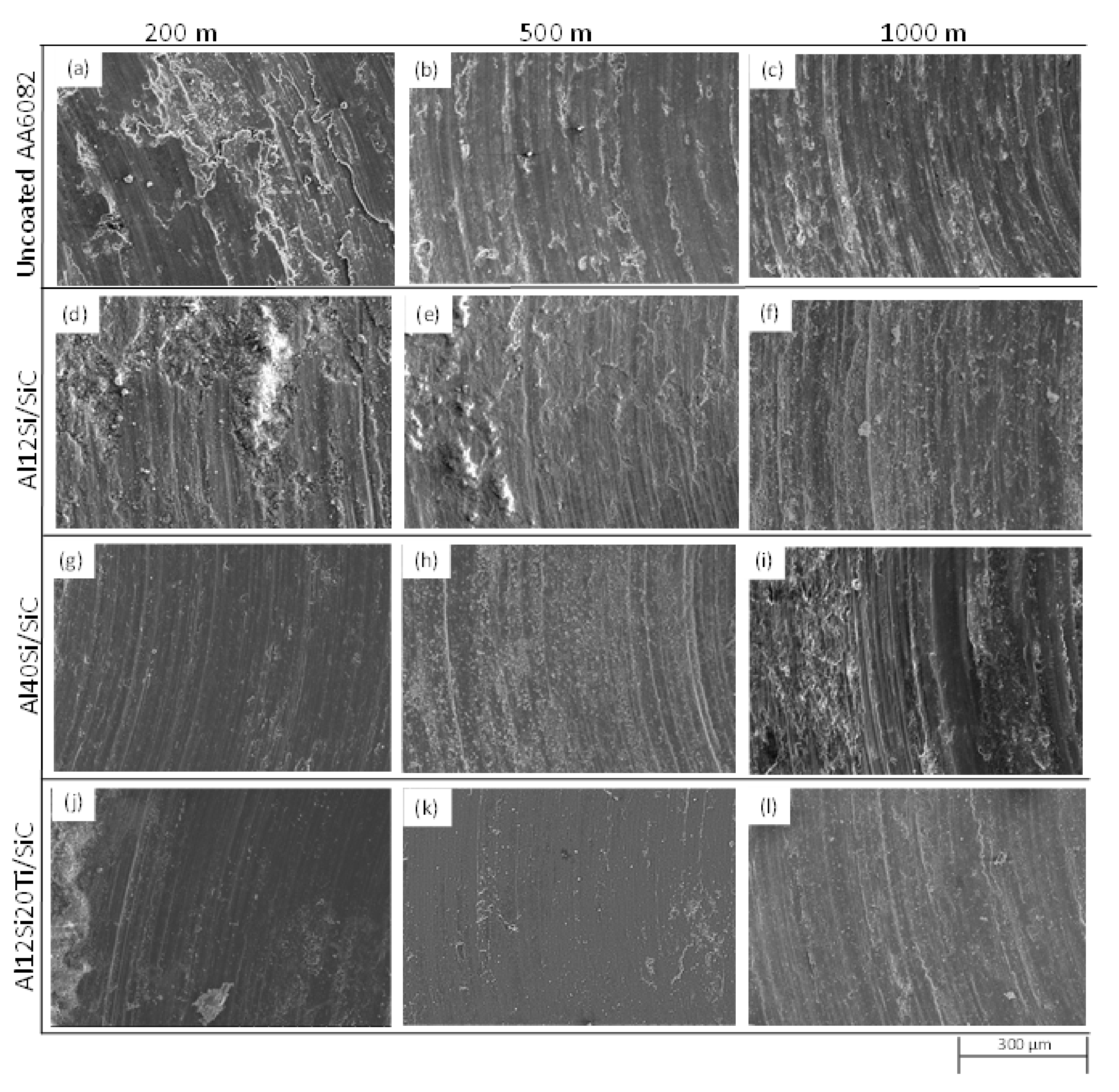 Coatings 12 00041 g006