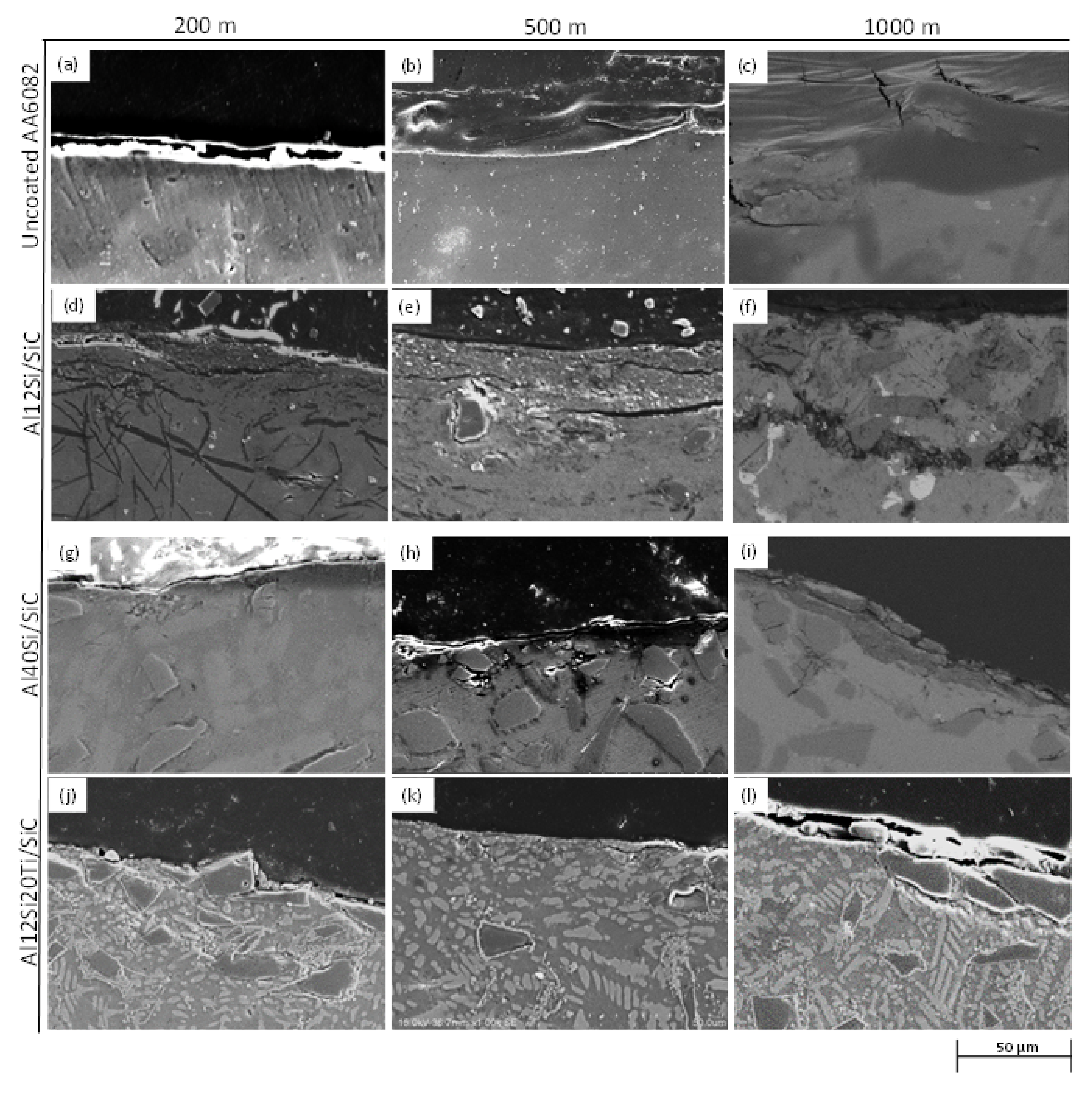 Coatings 12 00041 g007