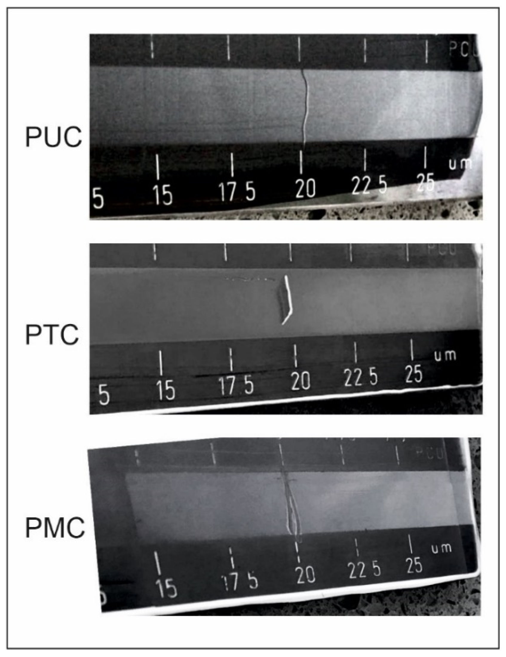 Coatings 12 00044 g002
