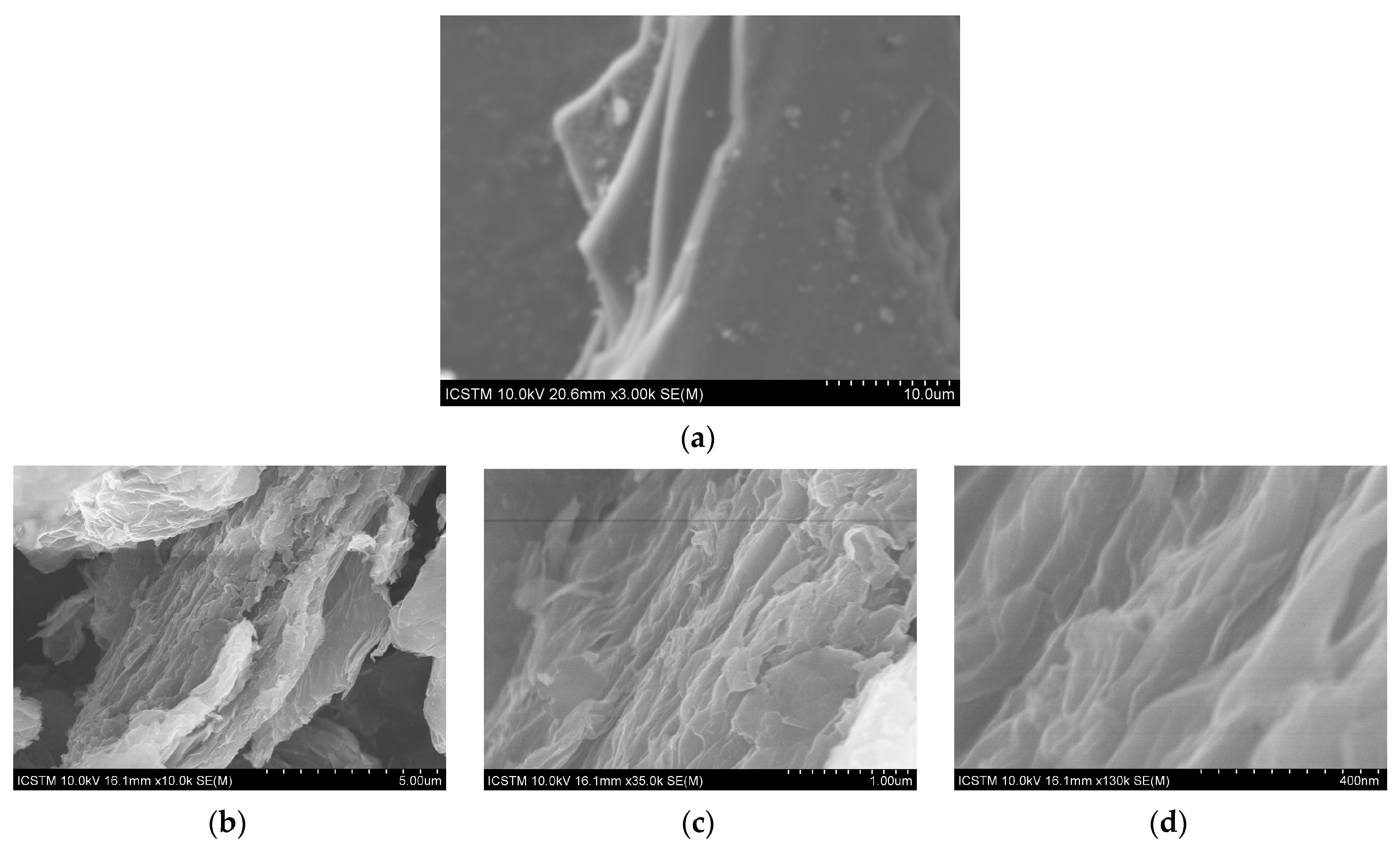Coatings 12 00045 g003a