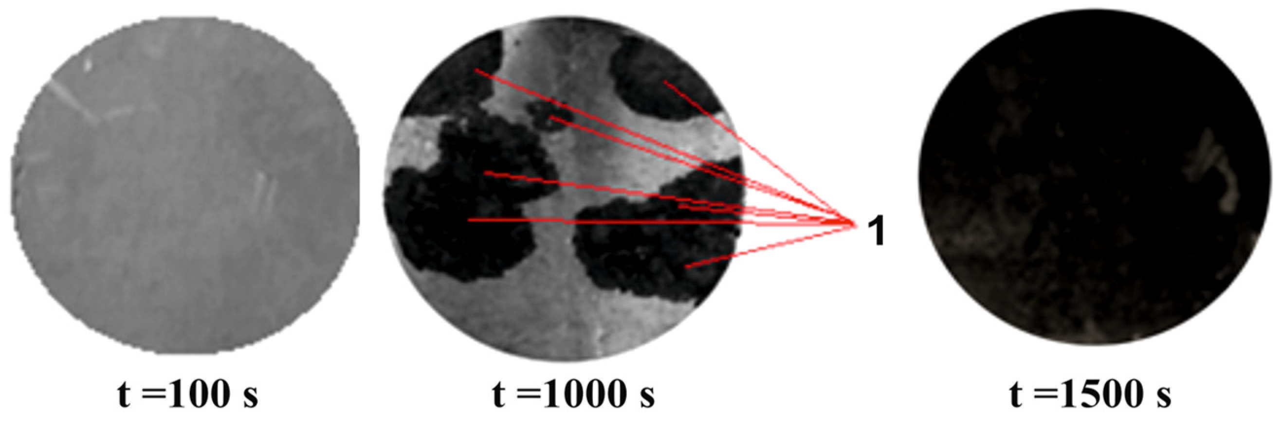 Coatings 12 00046 g002