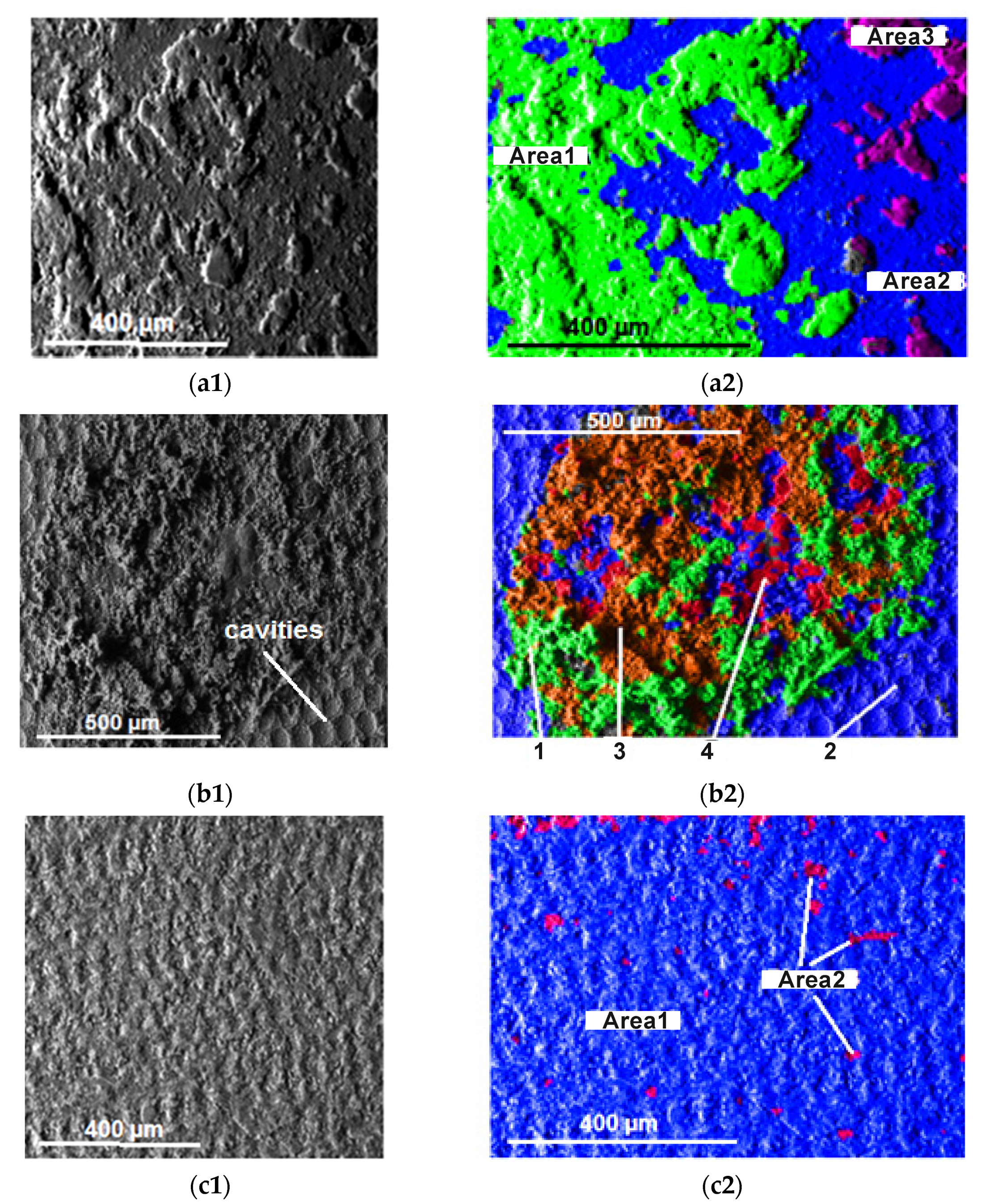 Coatings 12 00046 g004