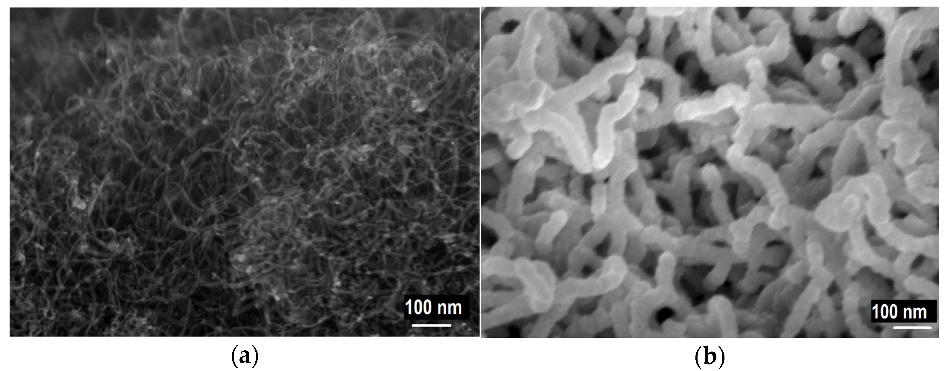 Coatings 12 00047 g001