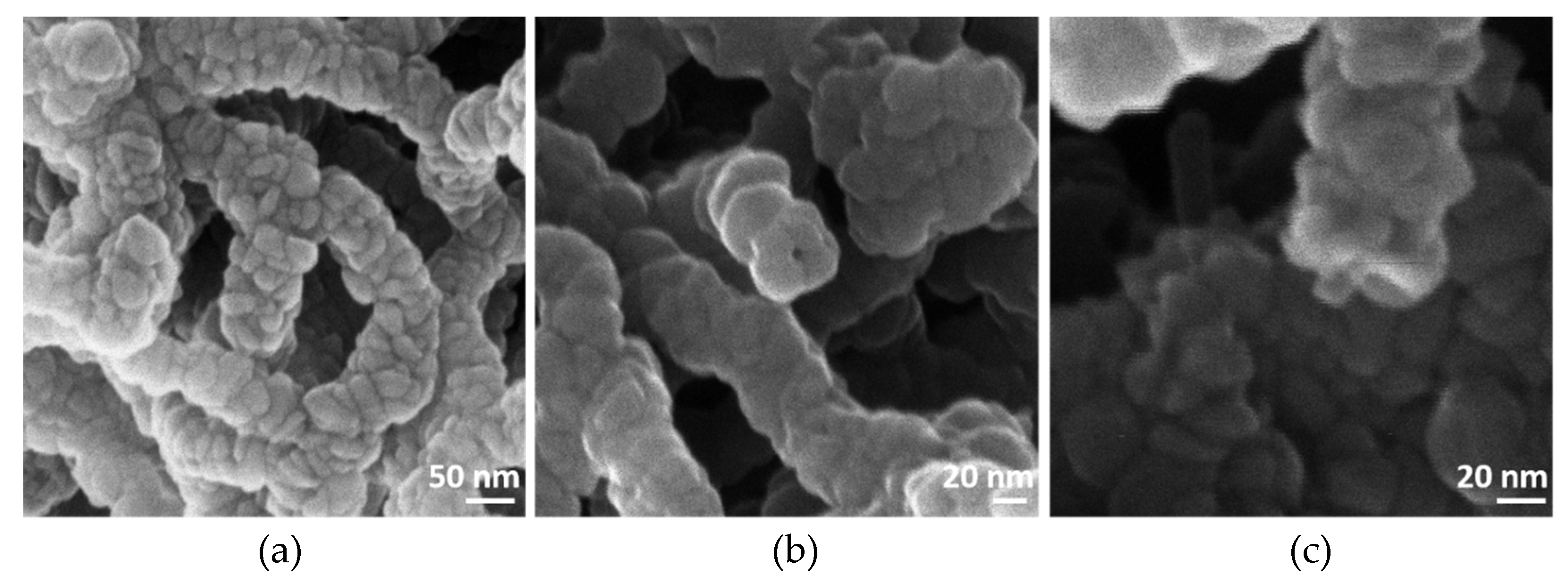 Coatings 12 00047 g002