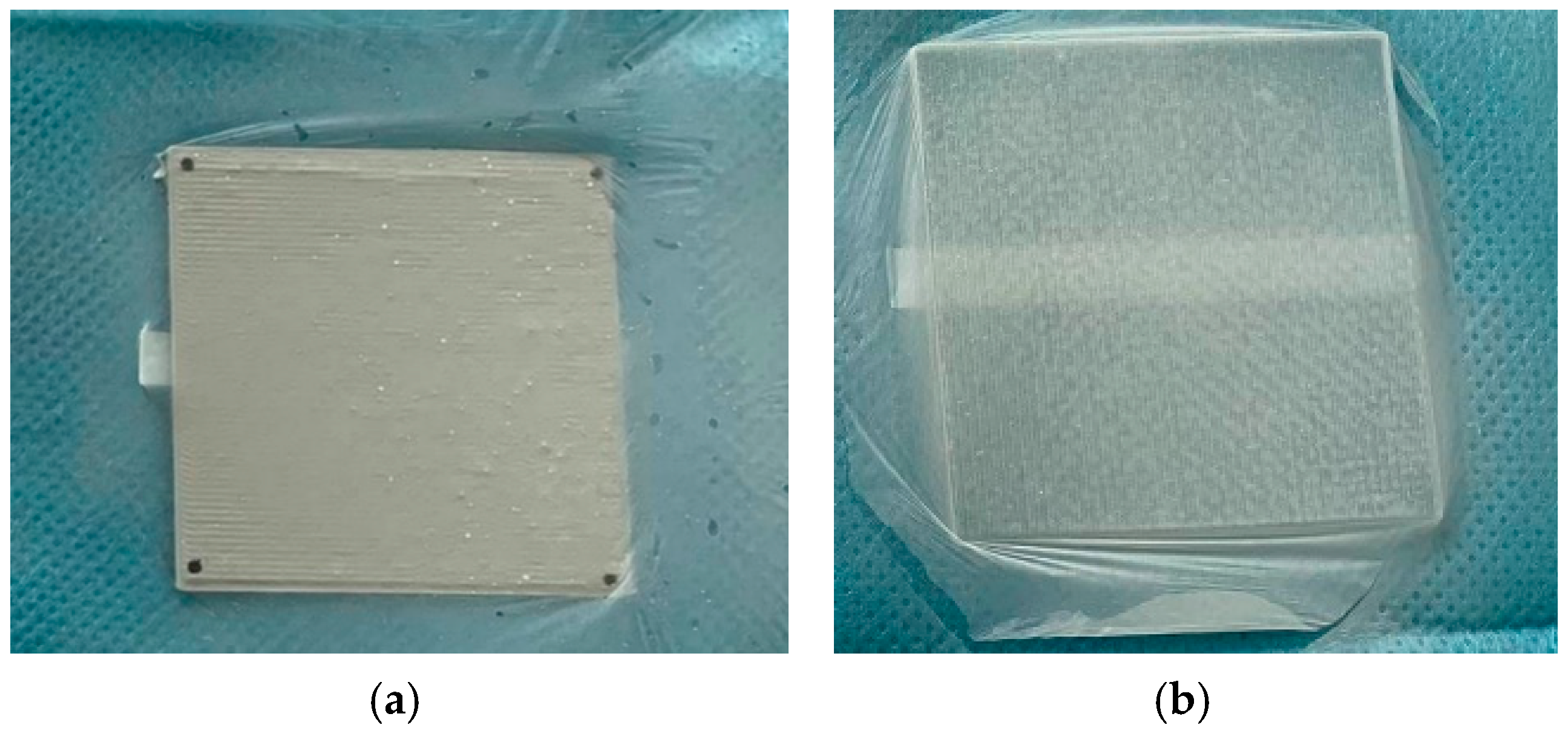 Coatings 12 00048 g007 550