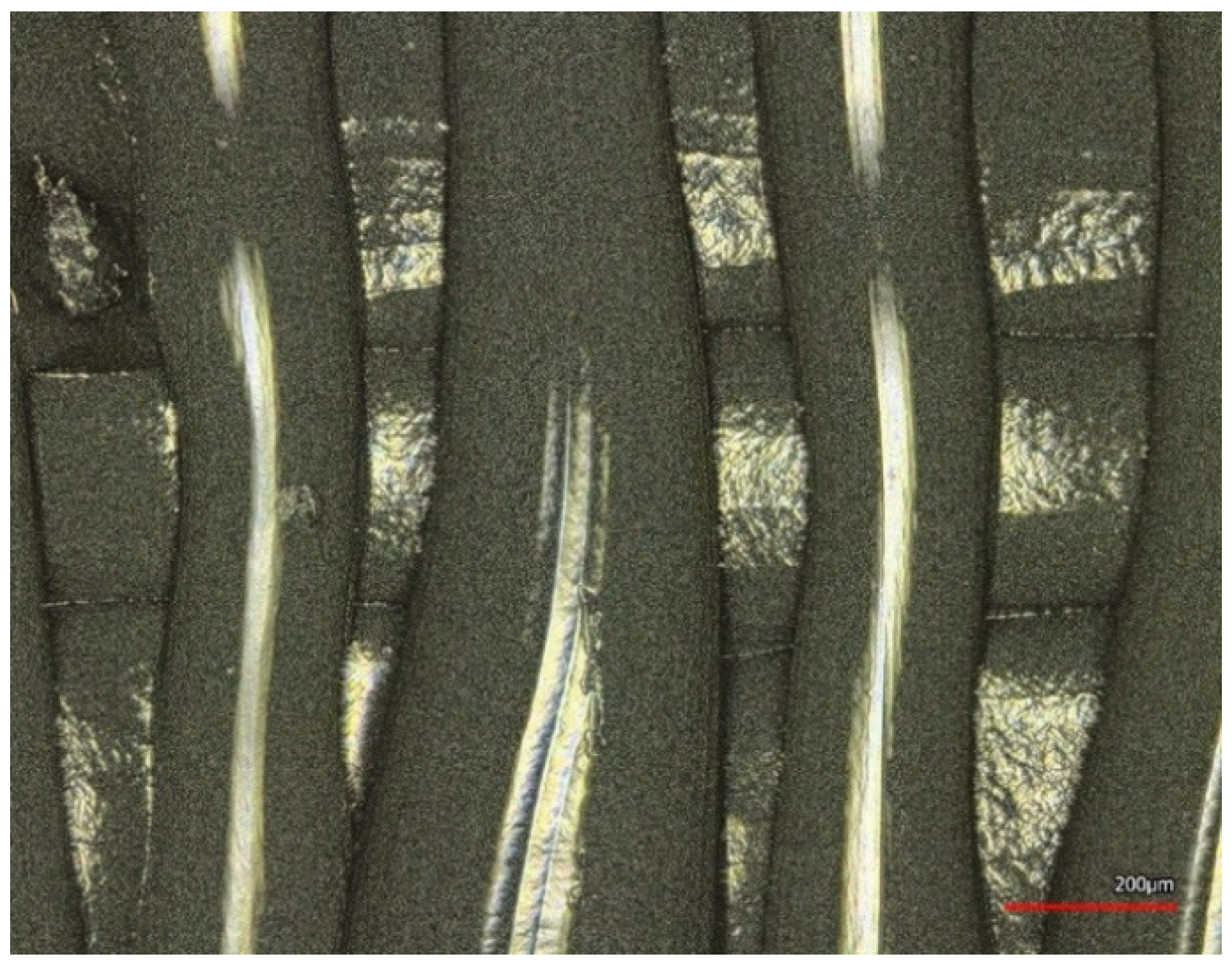 Coatings 12 00048 g010 550