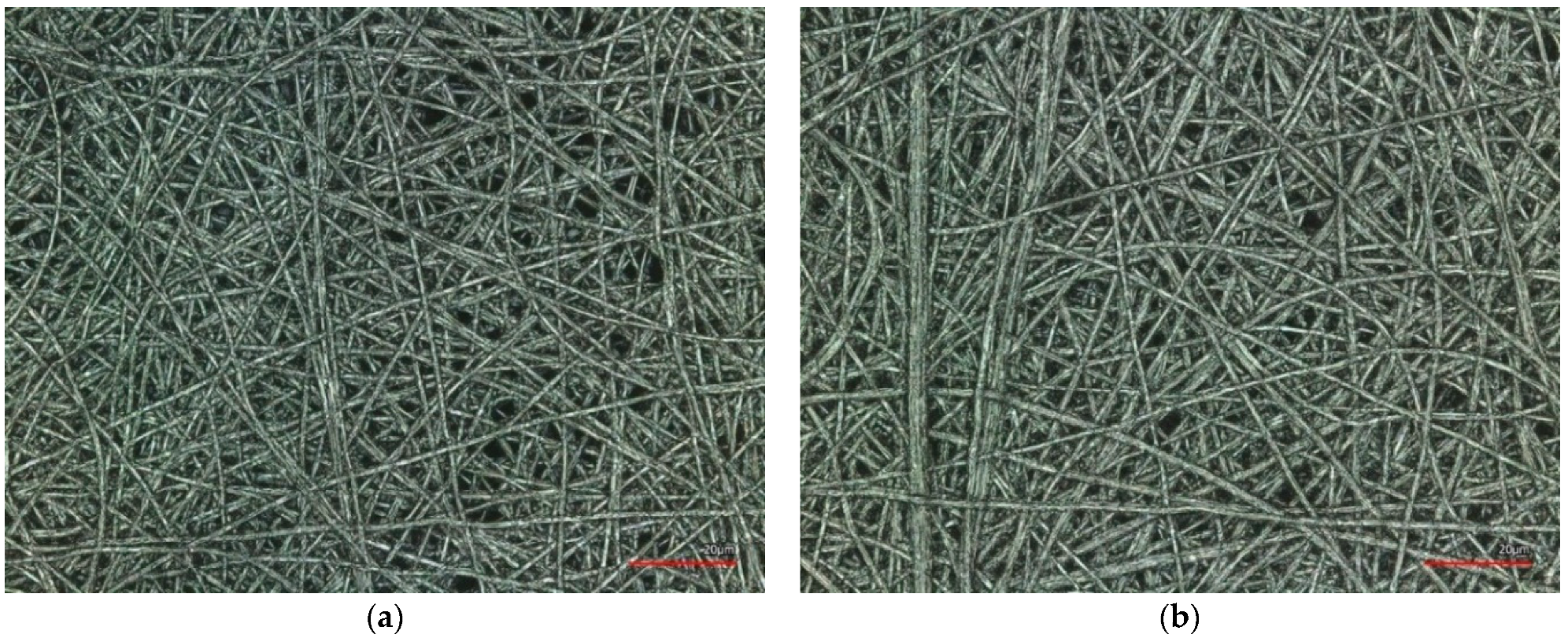 Coatings 12 00048 g011 550