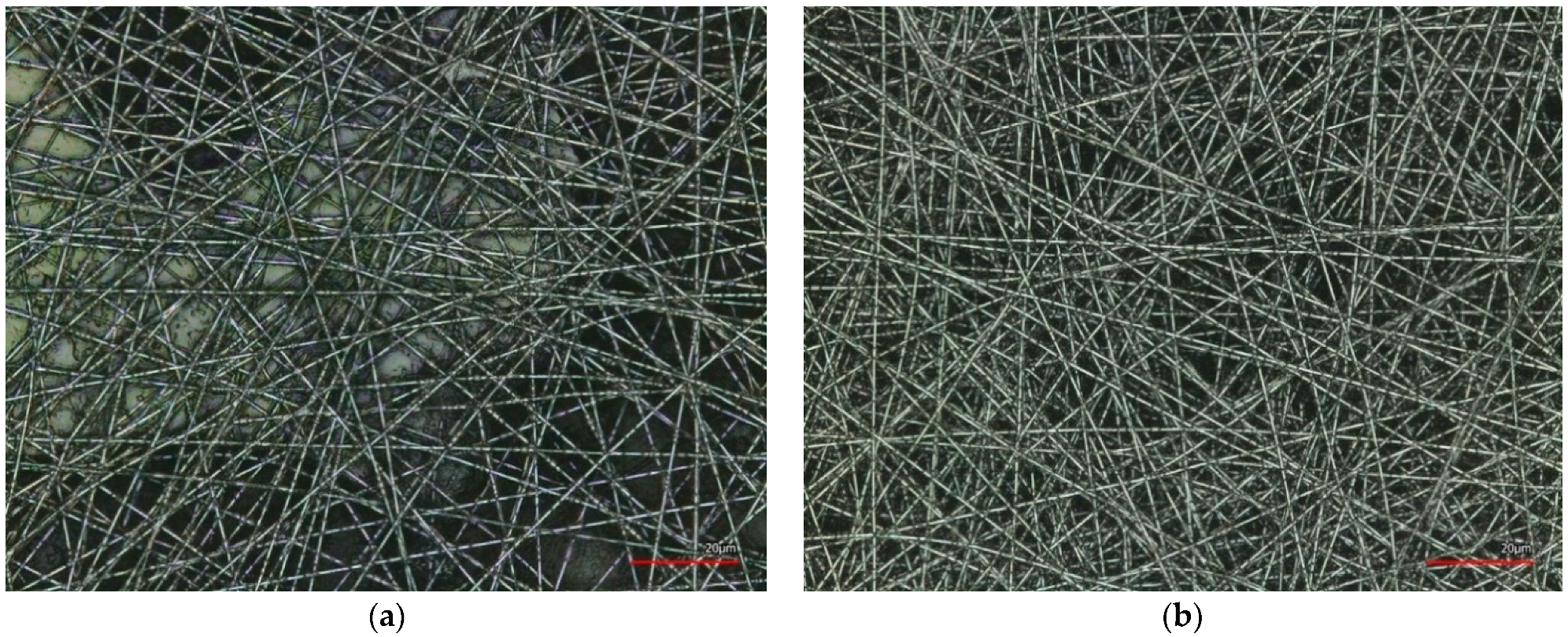 Coatings 12 00048 g013 550