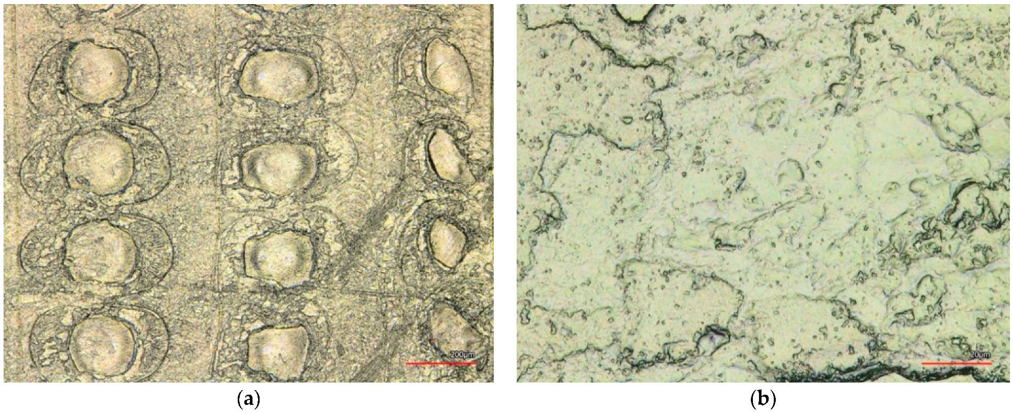 Coatings 12 00048 g014 550