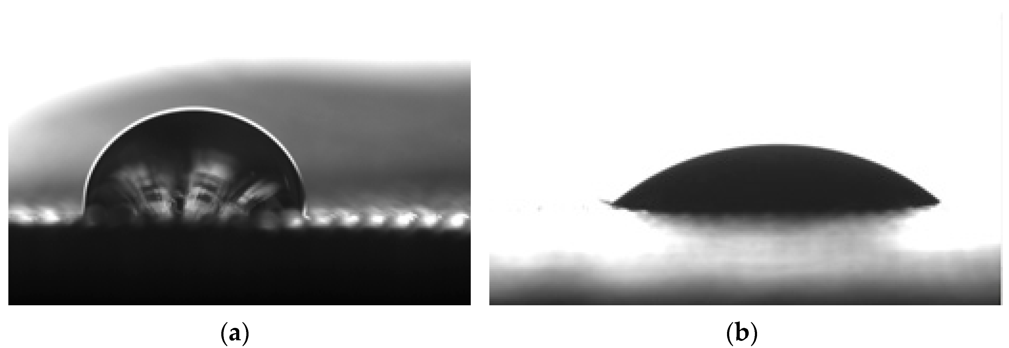 Coatings 12 00048 g016 550