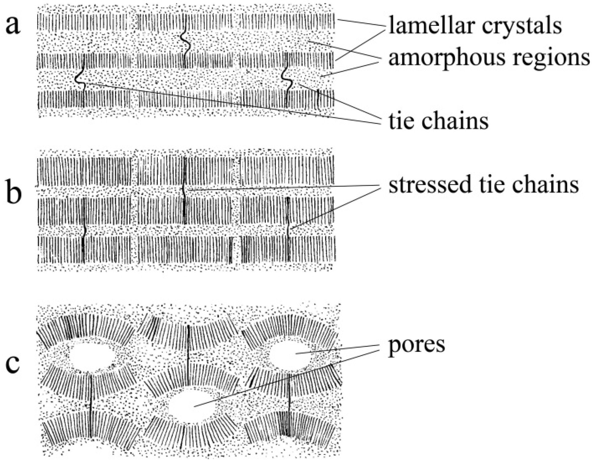 Coatings 12 00051 g001 550