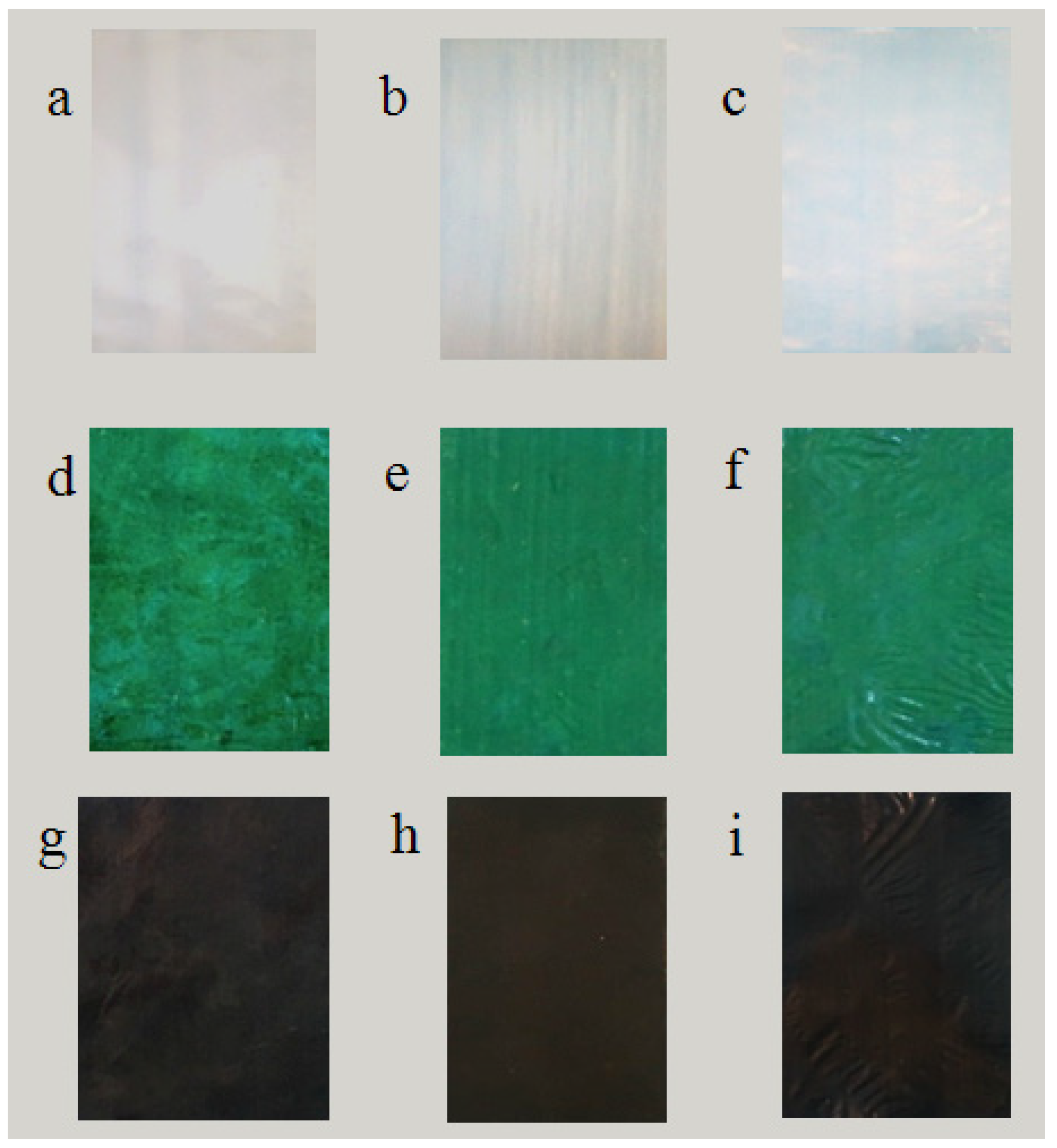Coatings 12 00051 g004 550