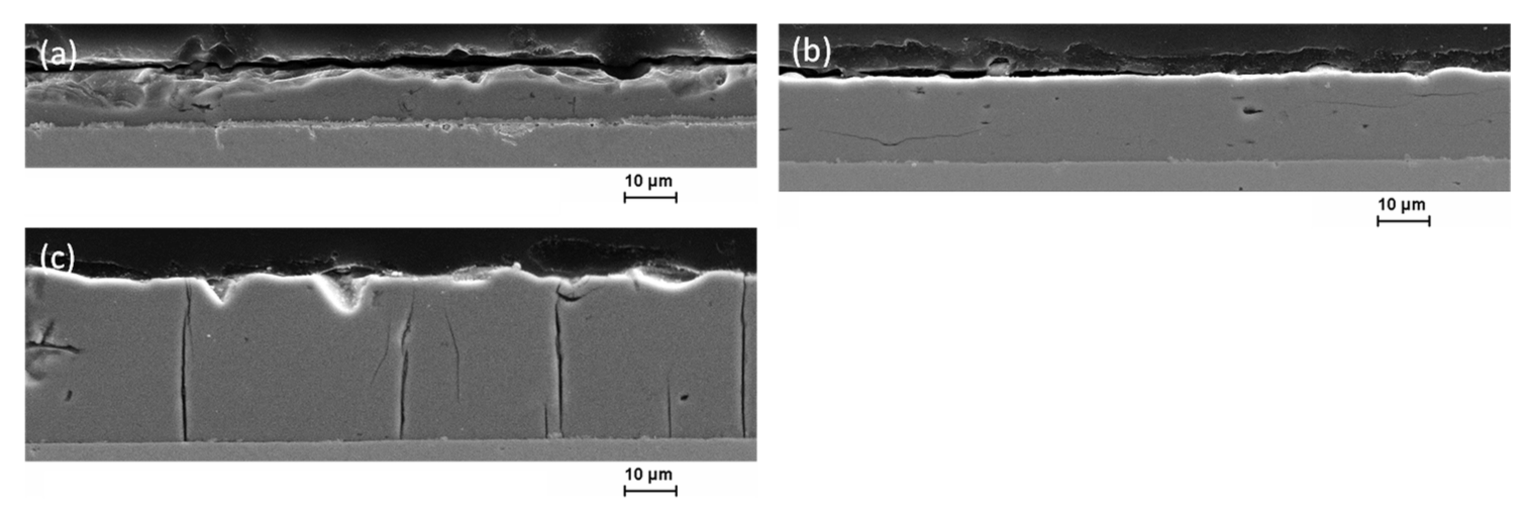 Coatings 12 00056 g004