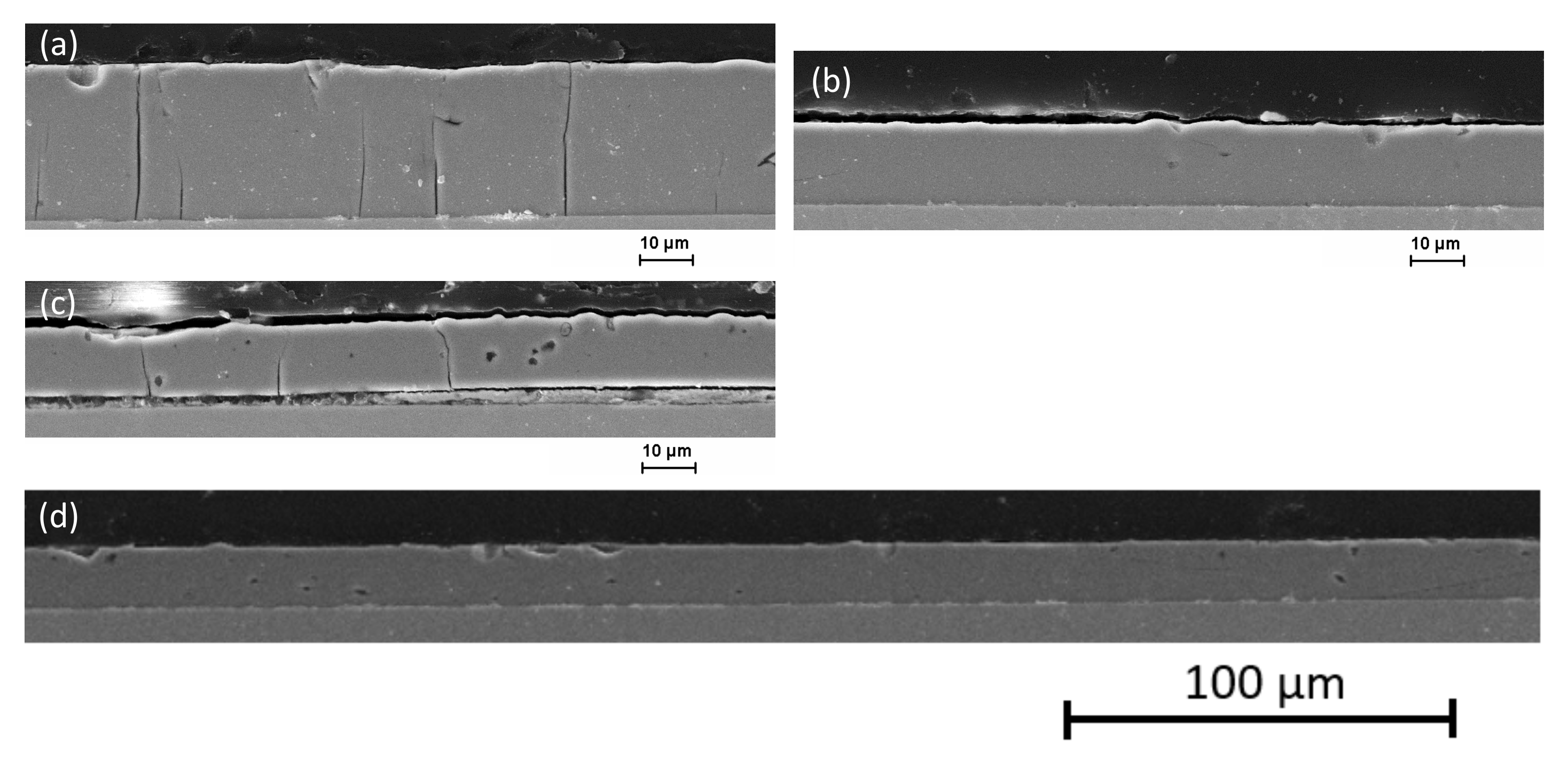 Coatings 12 00056 g005