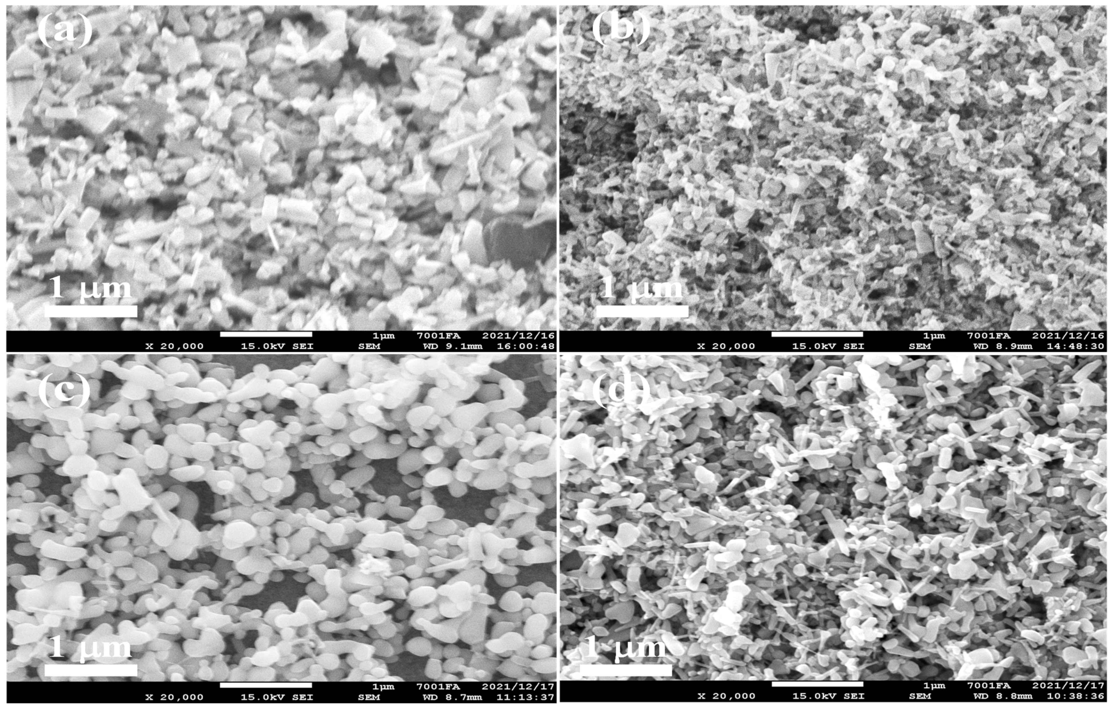 Coatings 12 00057 g002