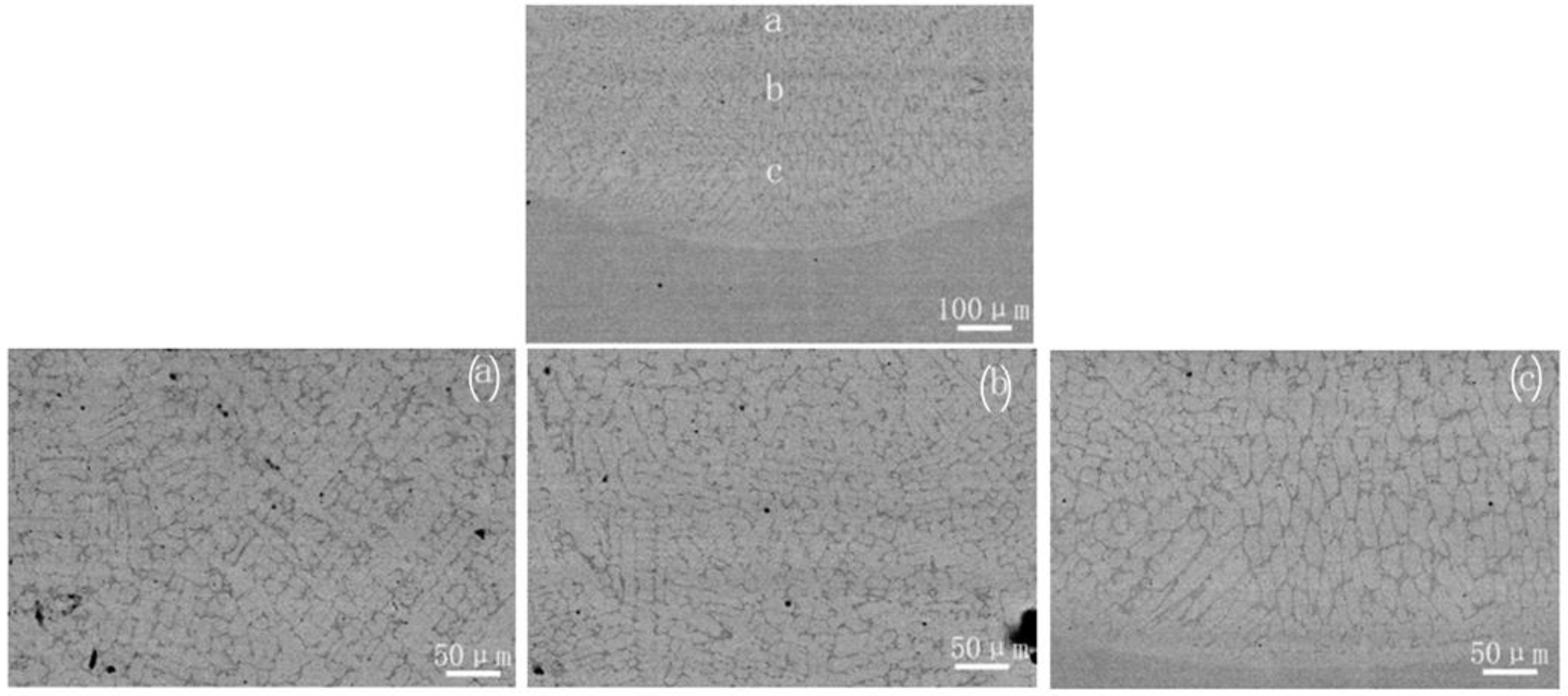 Coatings 12 00058 g010 550