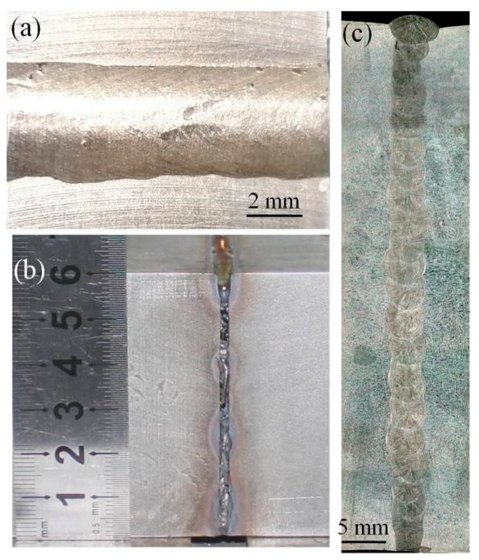 Coatings 12 00059 g006