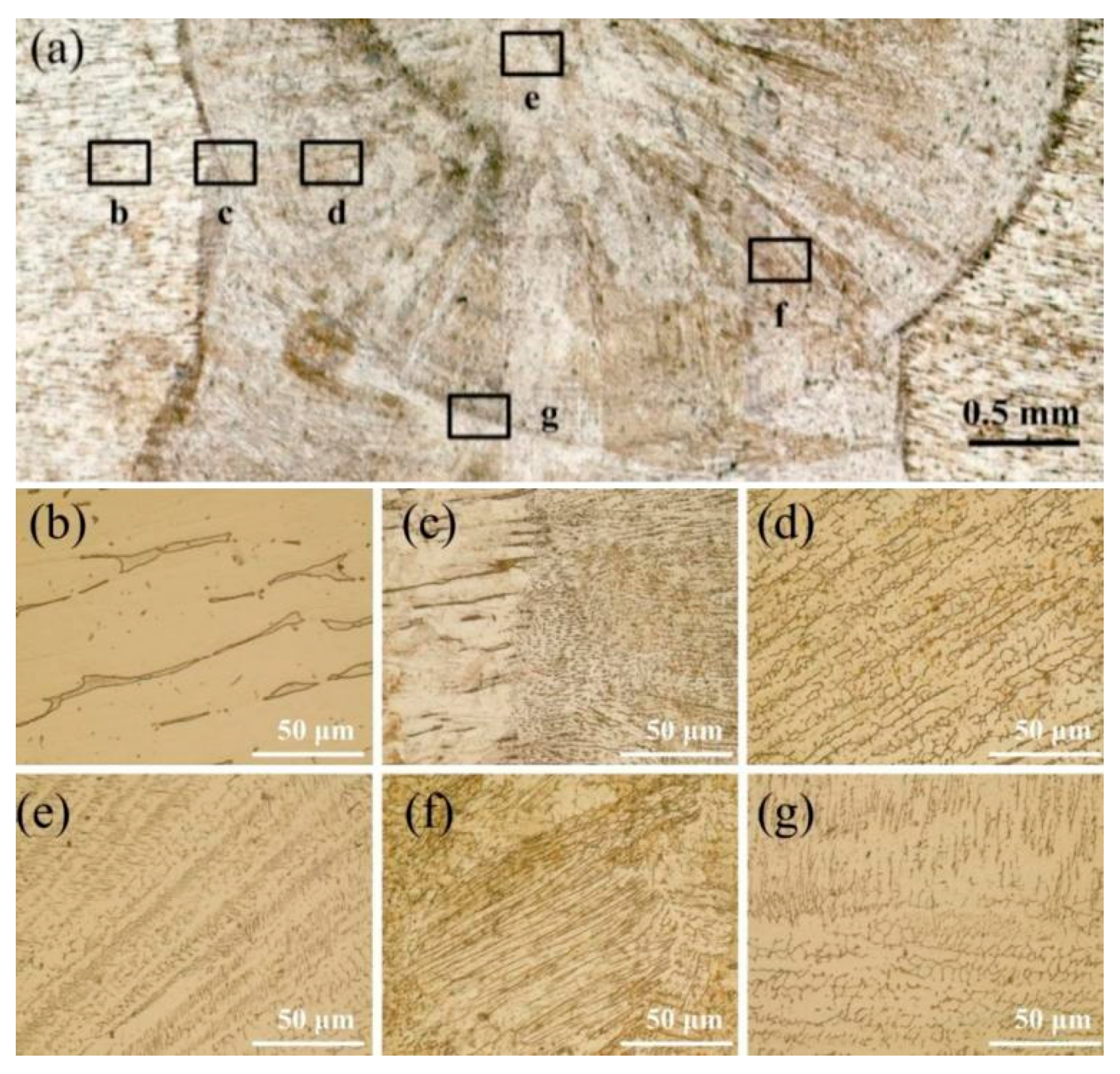 Coatings 12 00059 g007