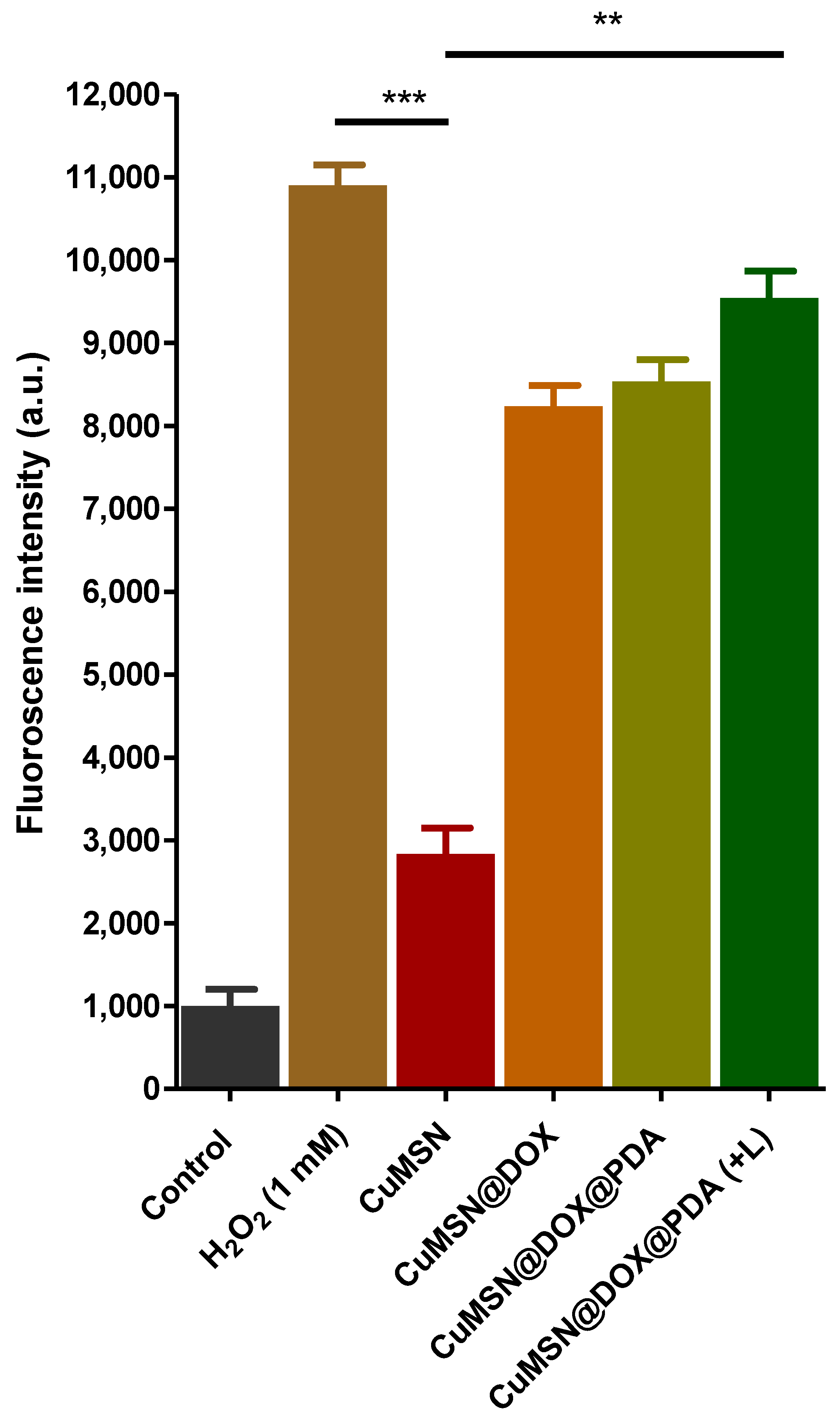 Coatings 12 00060 g007 Coatings 12 00060 g007