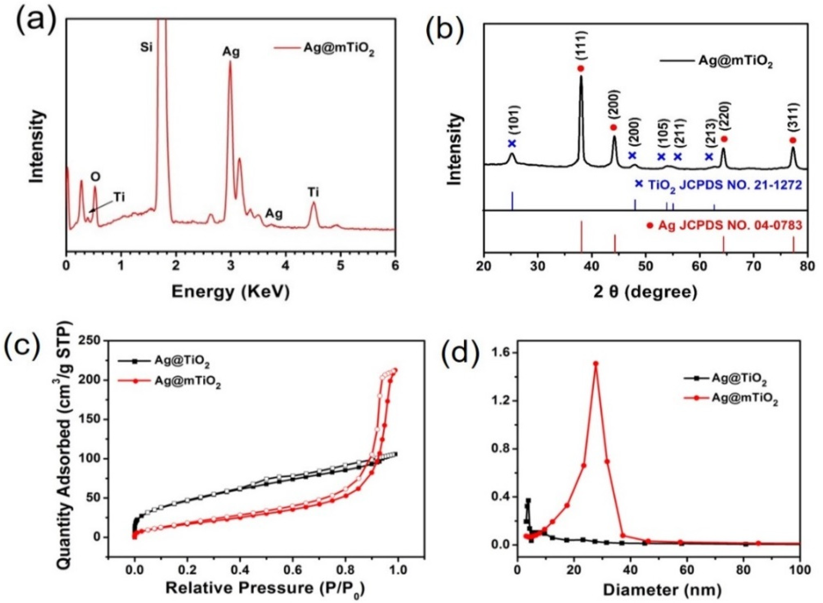 Coatings 12 00064 g002 550