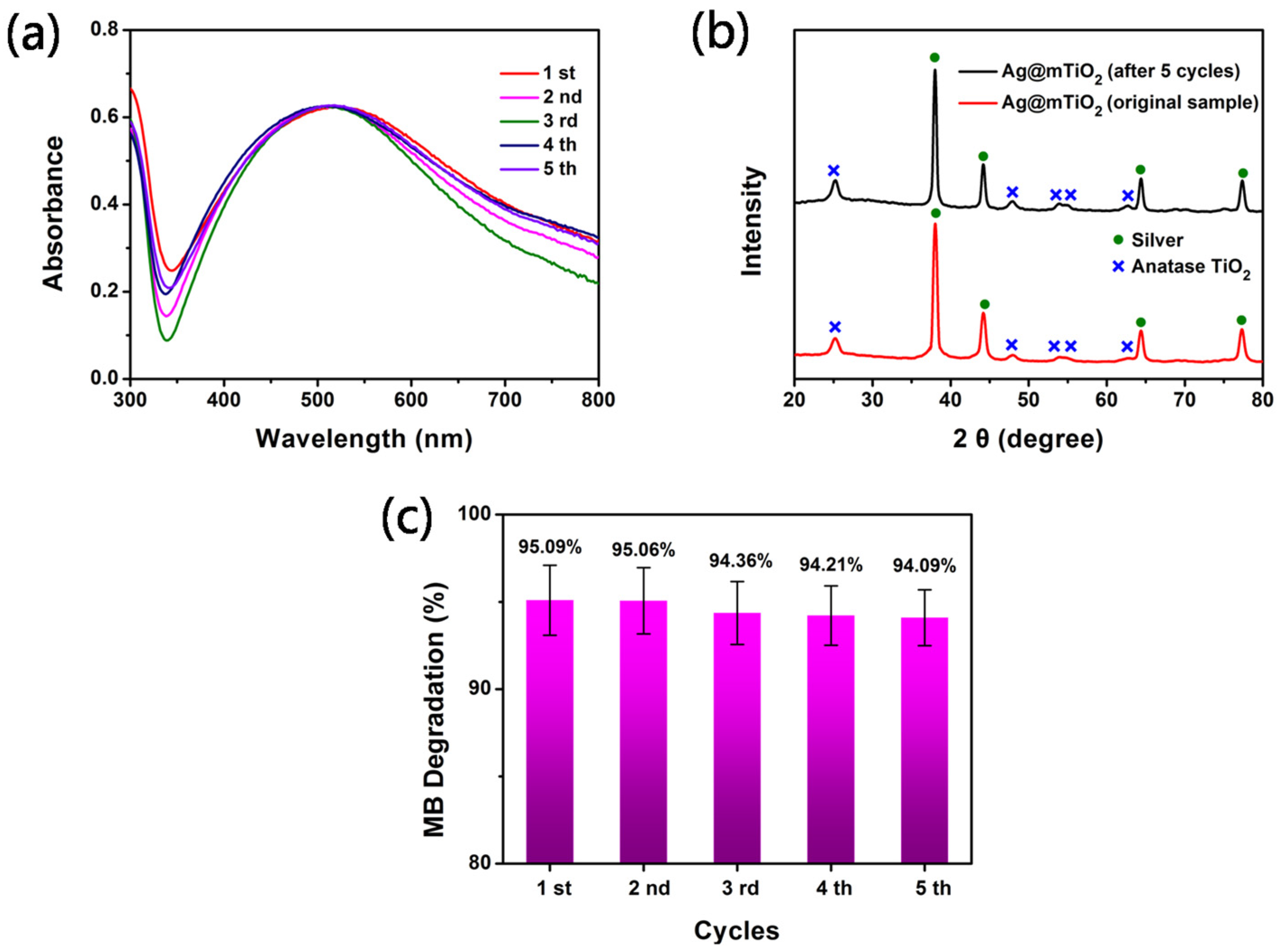 Coatings 12 00064 g006 550