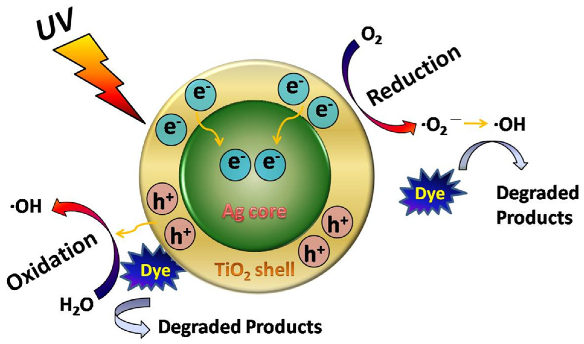 Coatings 12 00064 sch002 550