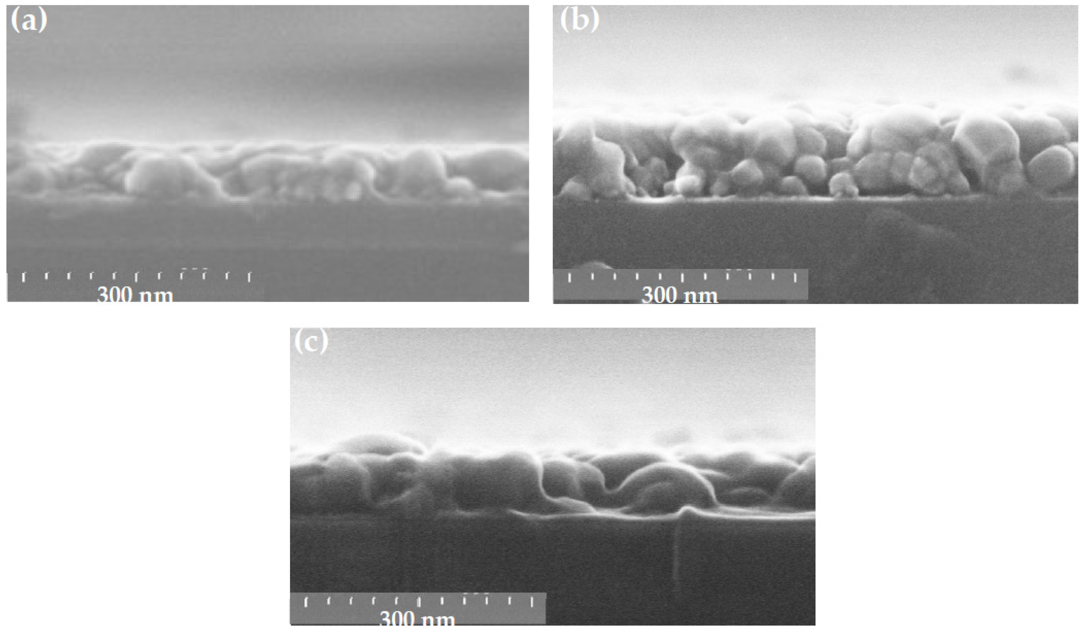 Coatings 12 00065 g015 Coatings 12 00065 g015