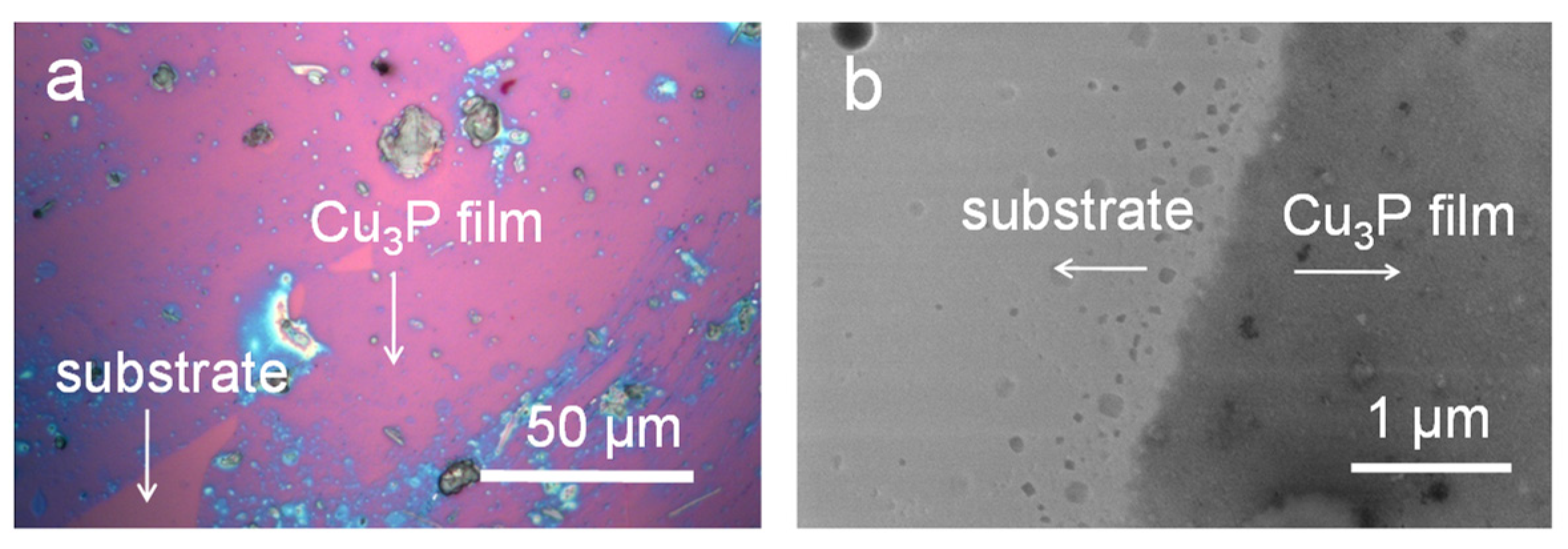 Coatings 12 00068 g001