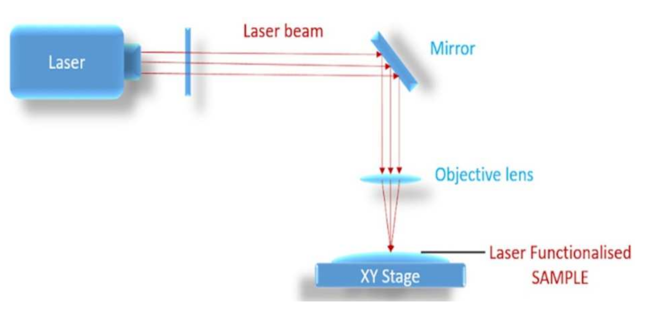 Coatings 12 00071 g004