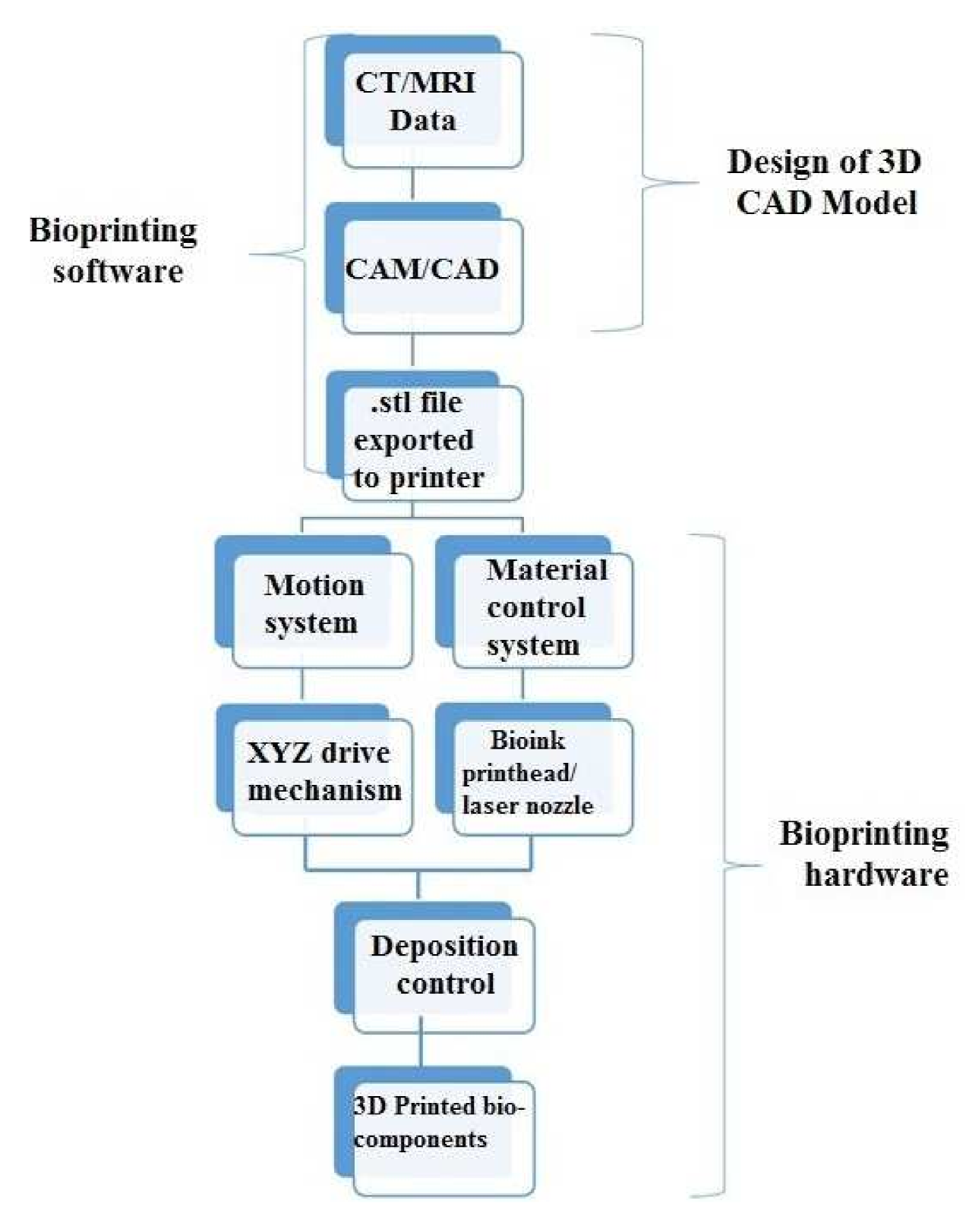 Coatings 12 00071 g011