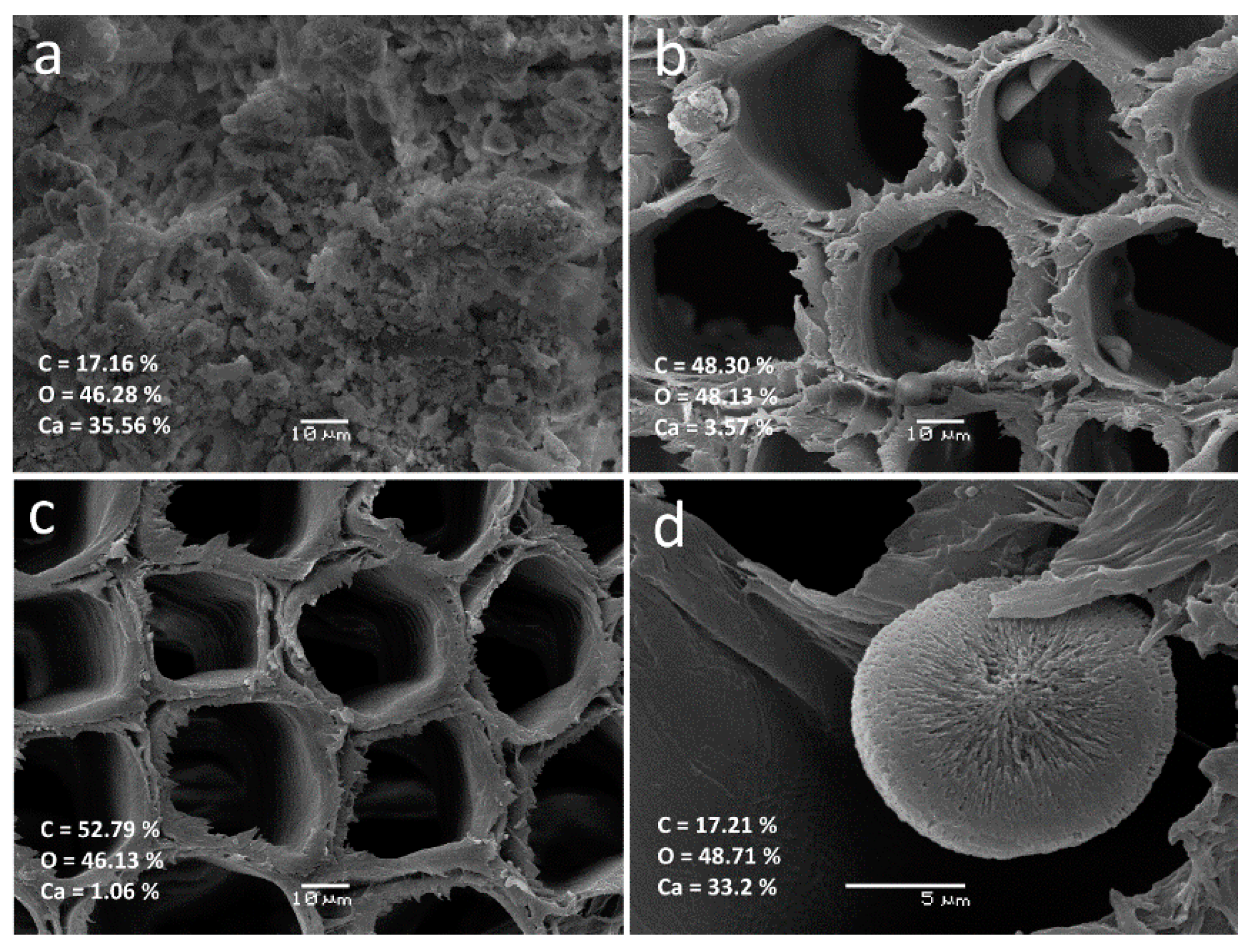 Coatings 12 00072 g003 550