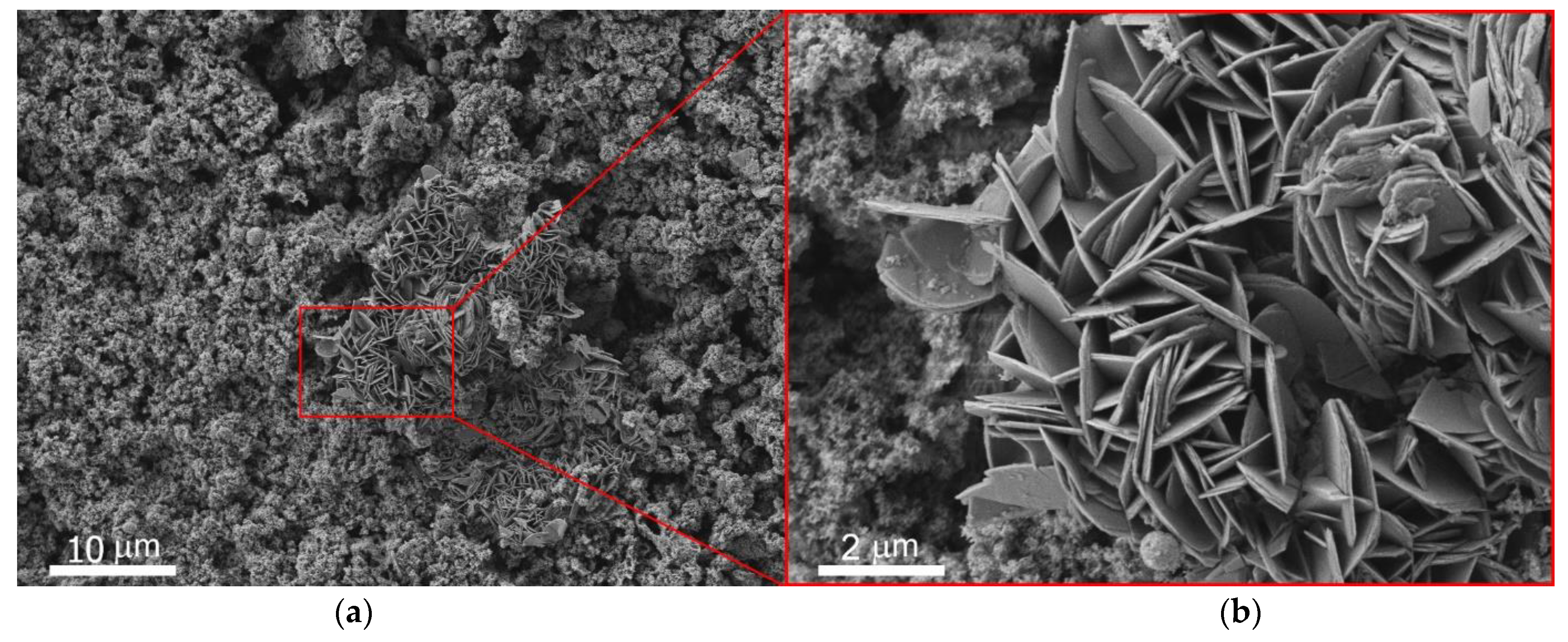 Coatings 12 00074 g007