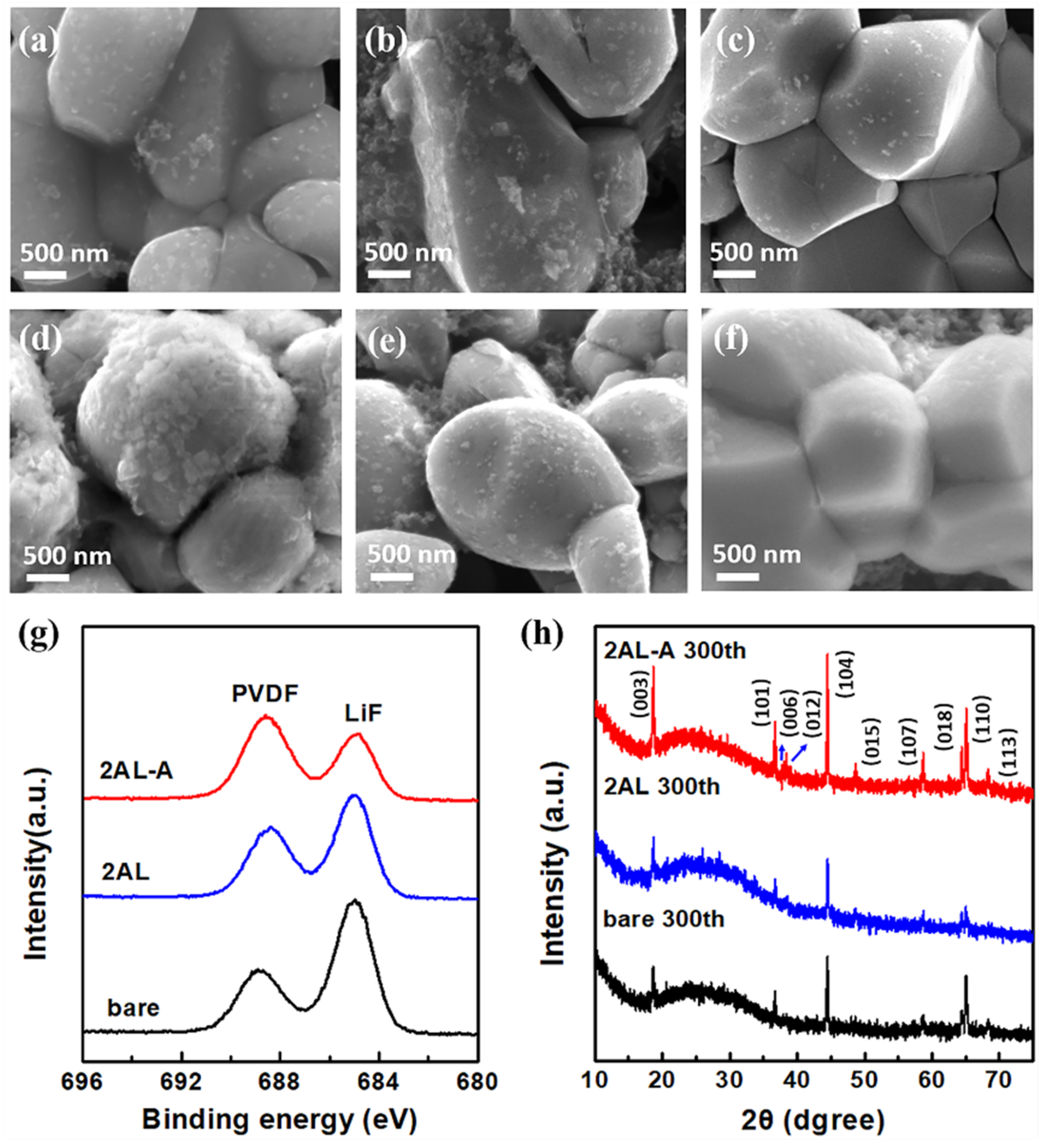 Coatings 12 00084 g006 550