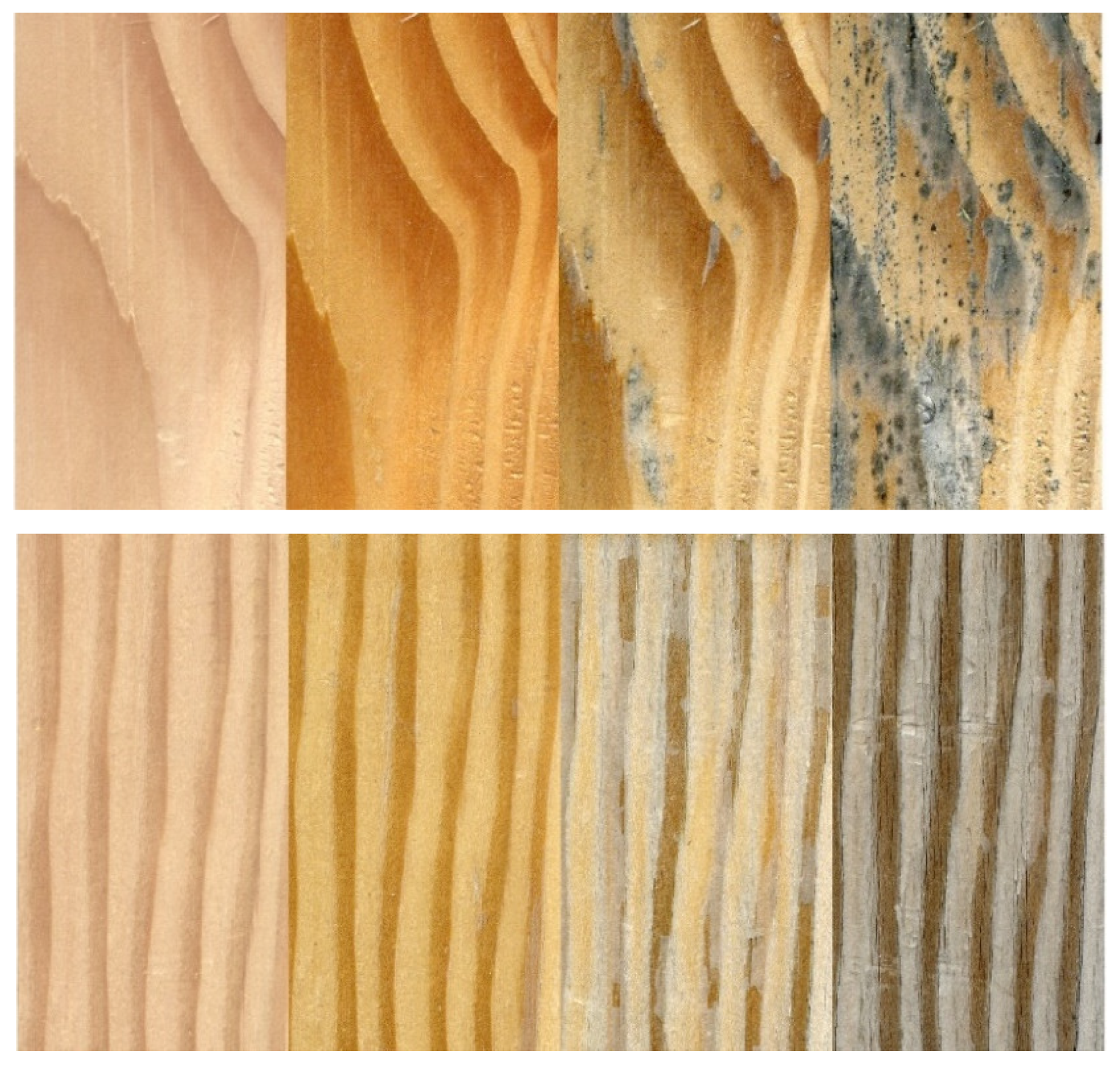 Coatings 12 00085 g006 Coatings 12 00085 g006