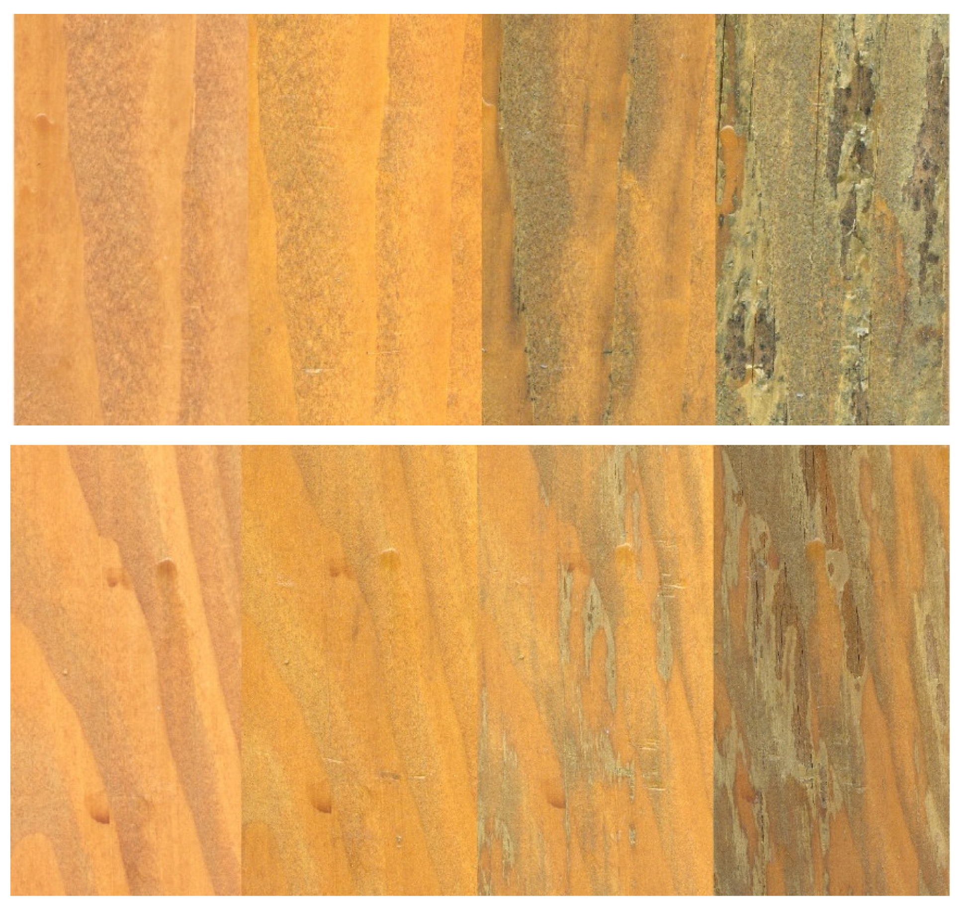 Coatings 12 00085 g008 Coatings 12 00085 g008