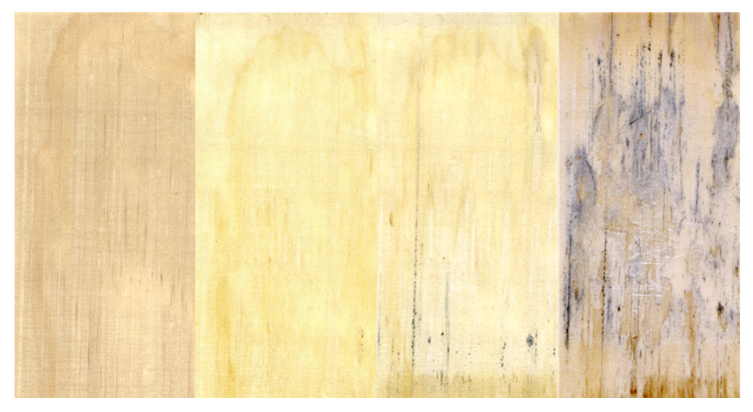 Coatings 12 00085 g011b Coatings 12 00085 g011b