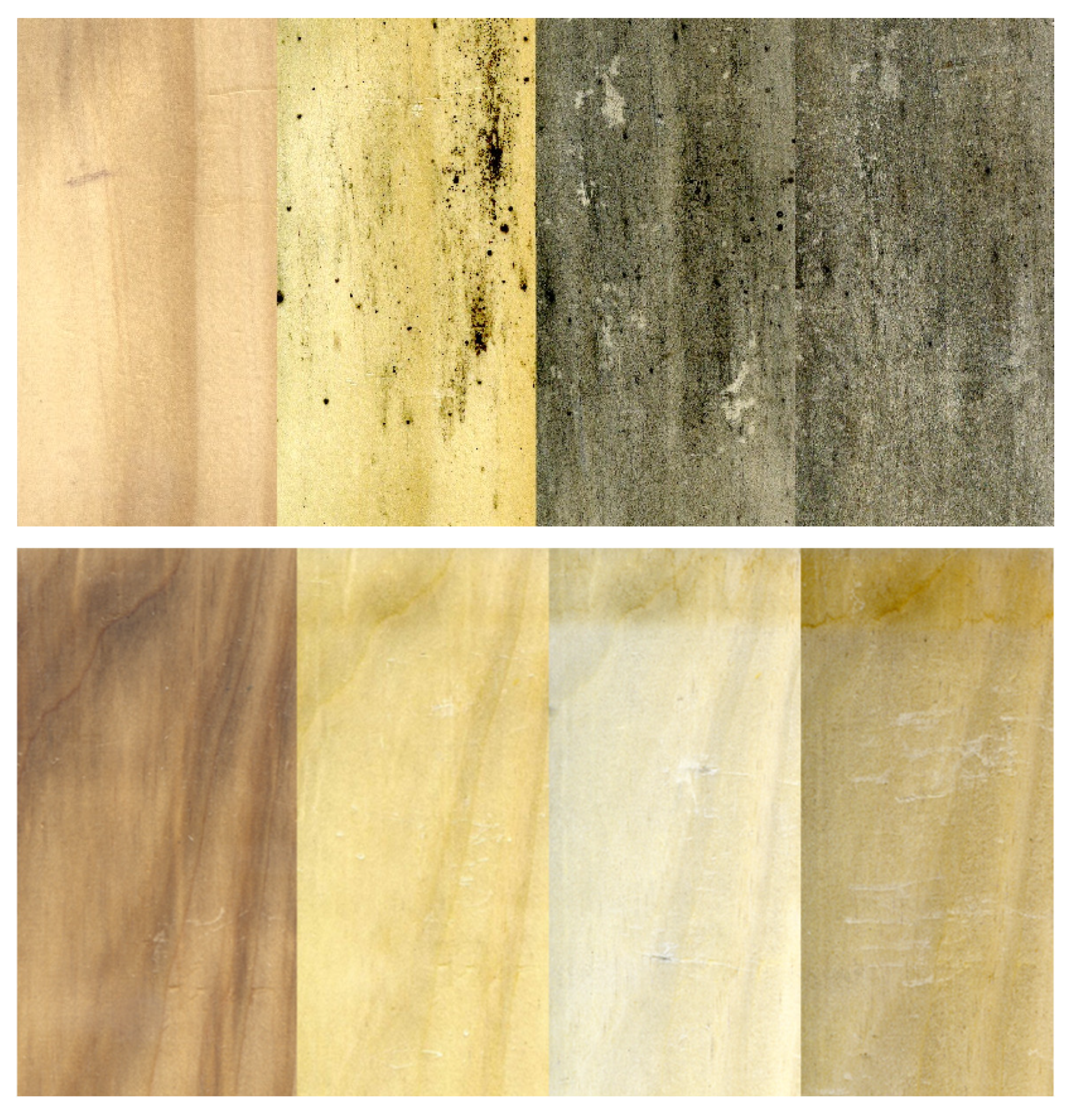 Coatings 12 00085 g012 Coatings 12 00085 g012