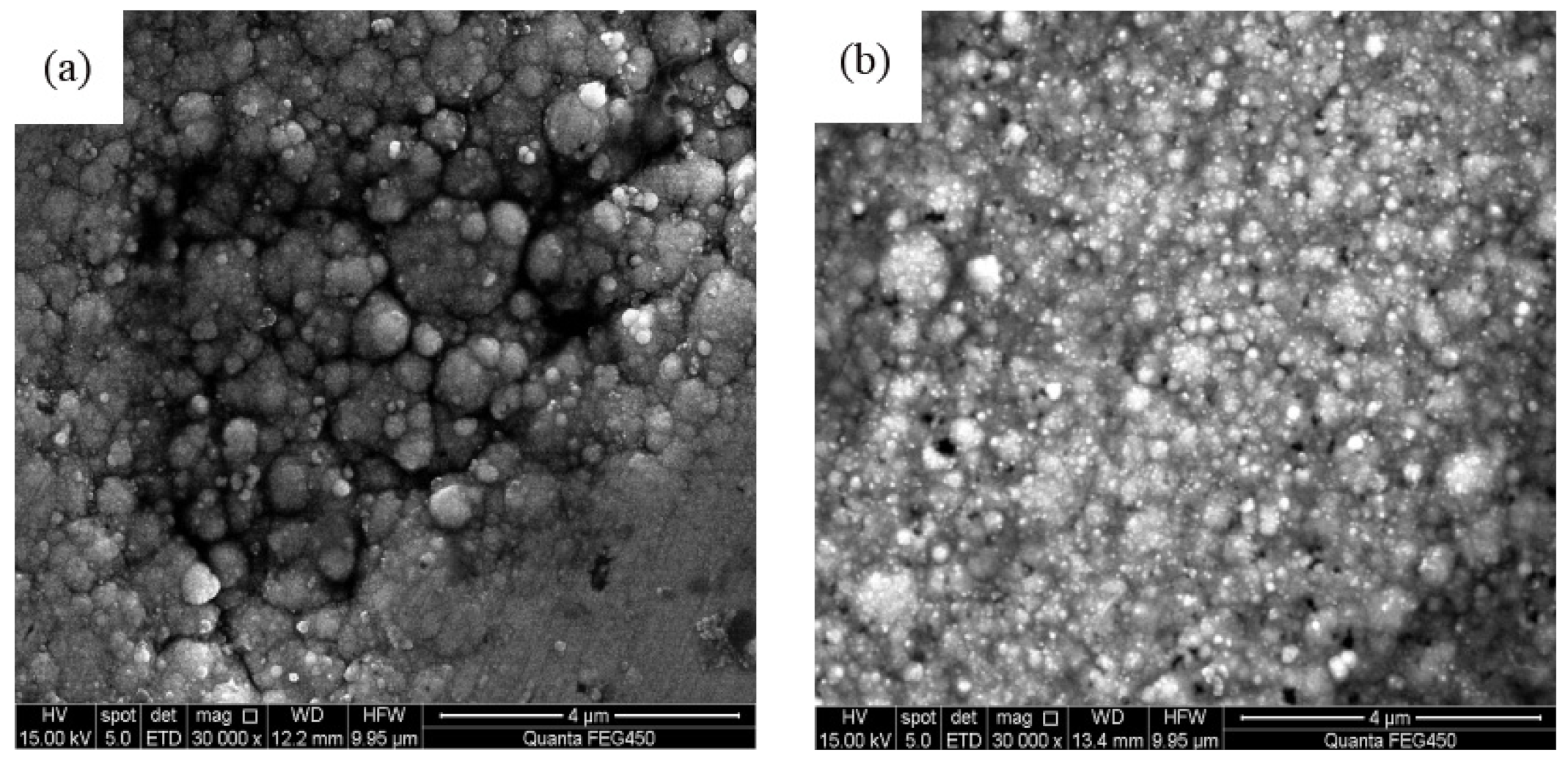 Coatings 12 00086 g004a 550