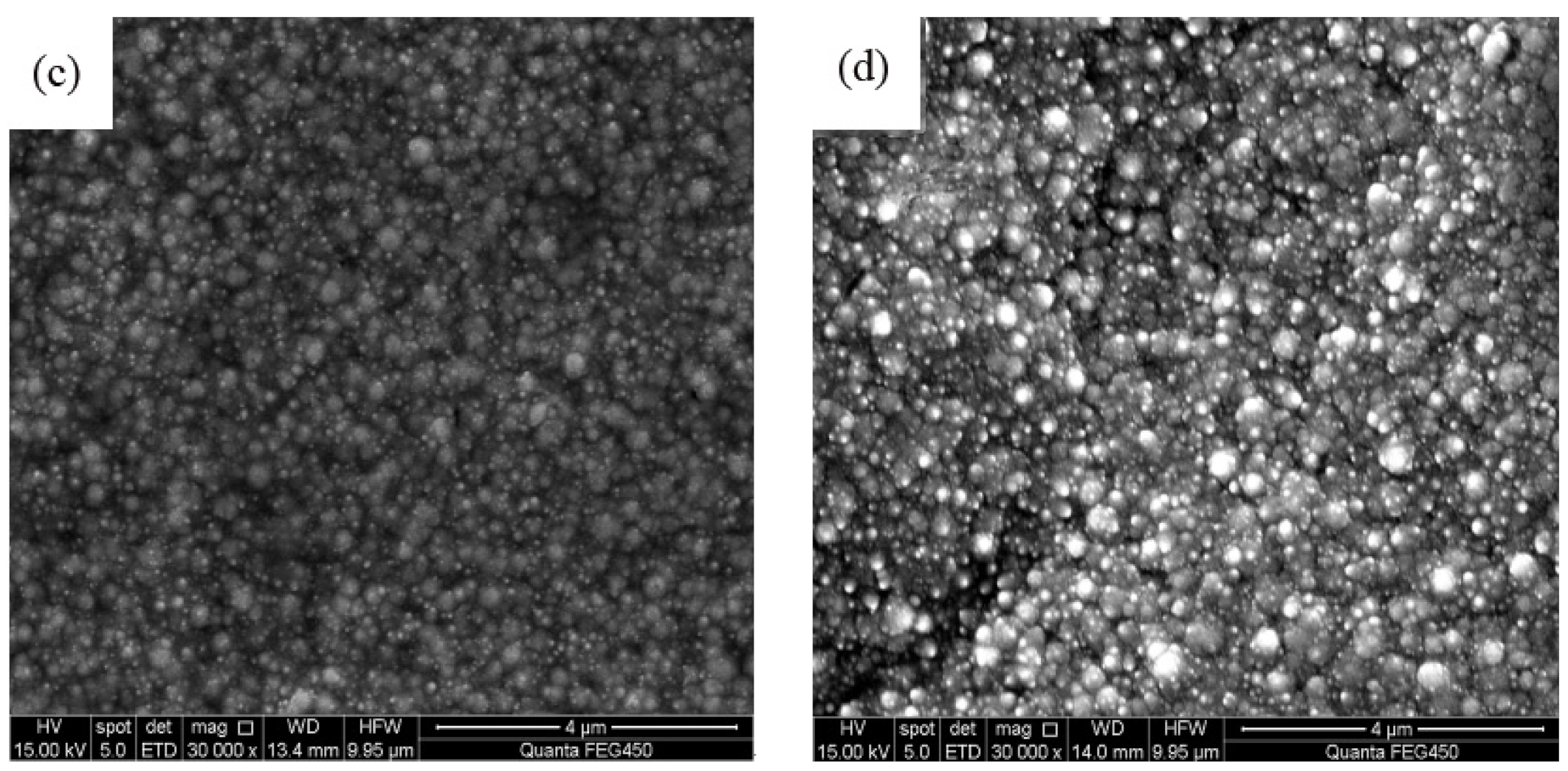 Coatings 12 00086 g004b 550