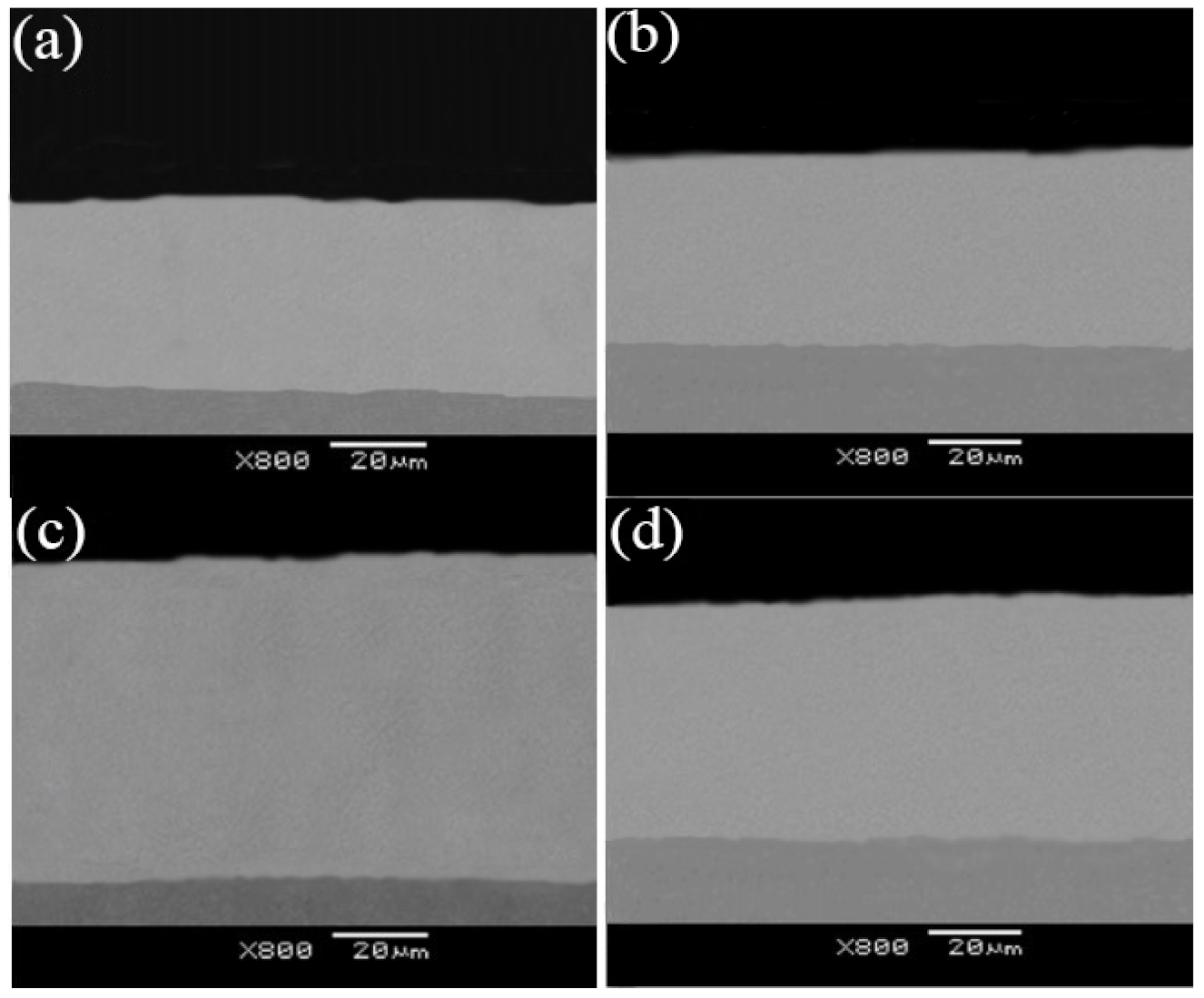 Coatings 12 00086 g006 550