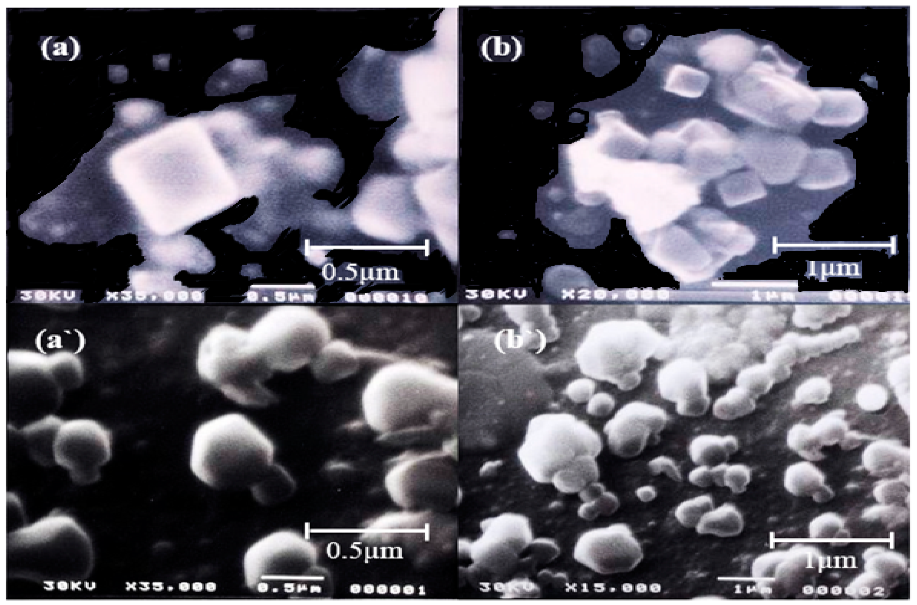 Coatings 12 00087 g005