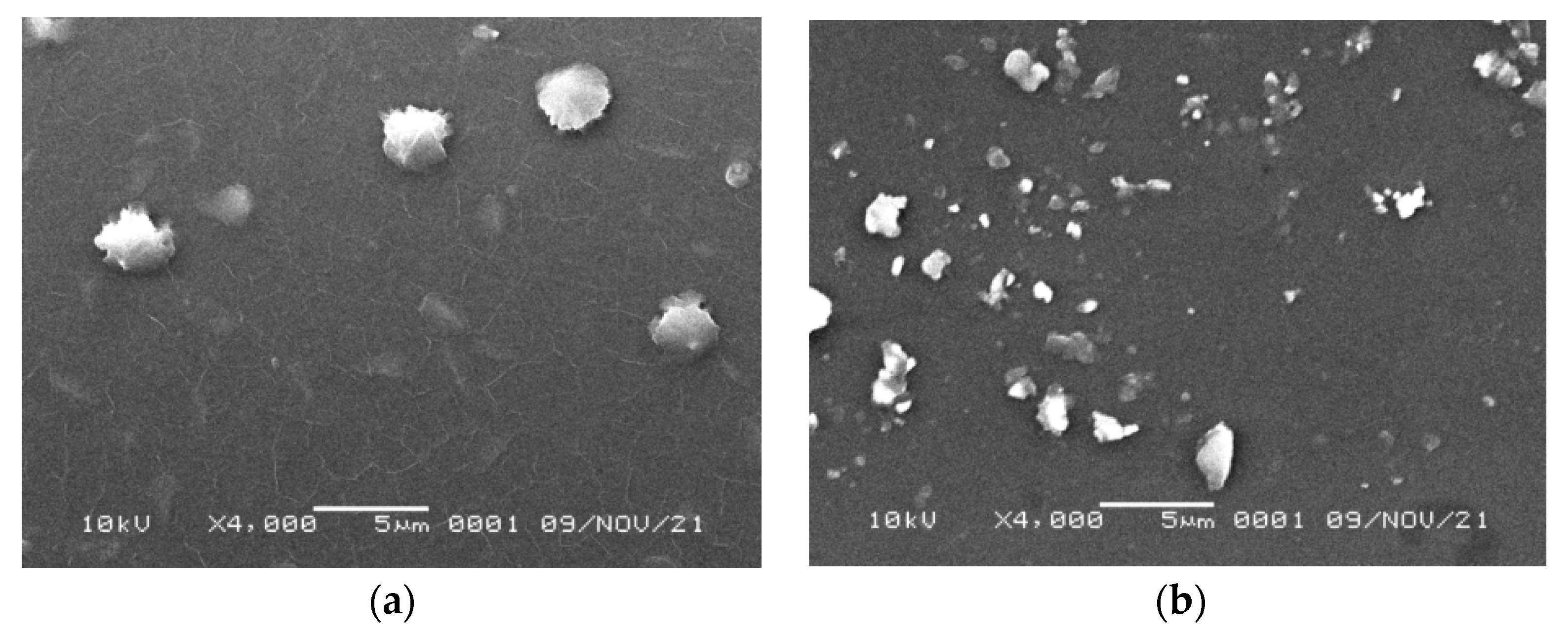 Coatings 12 00088 g003