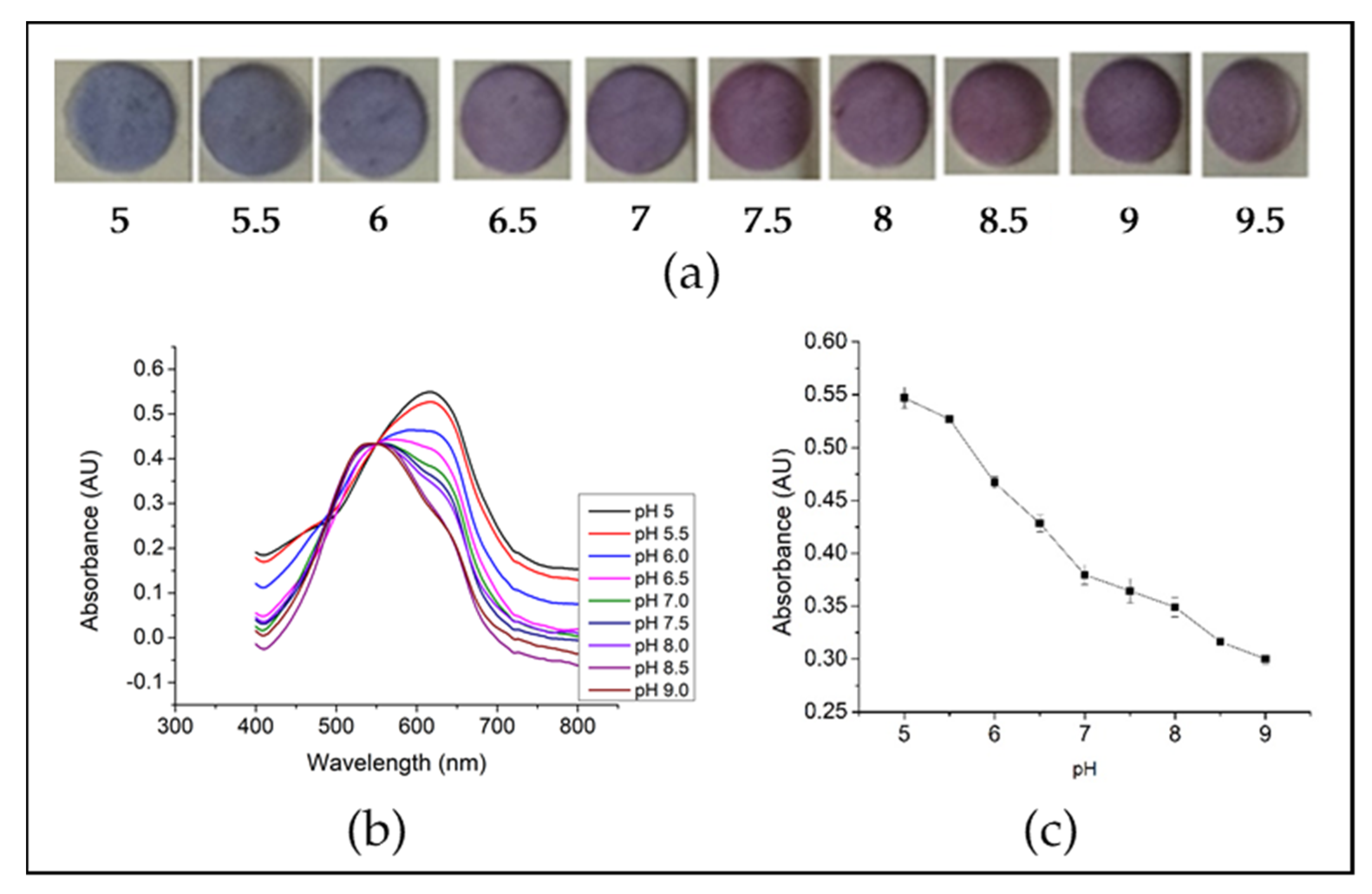 Coatings 12 00088 g005