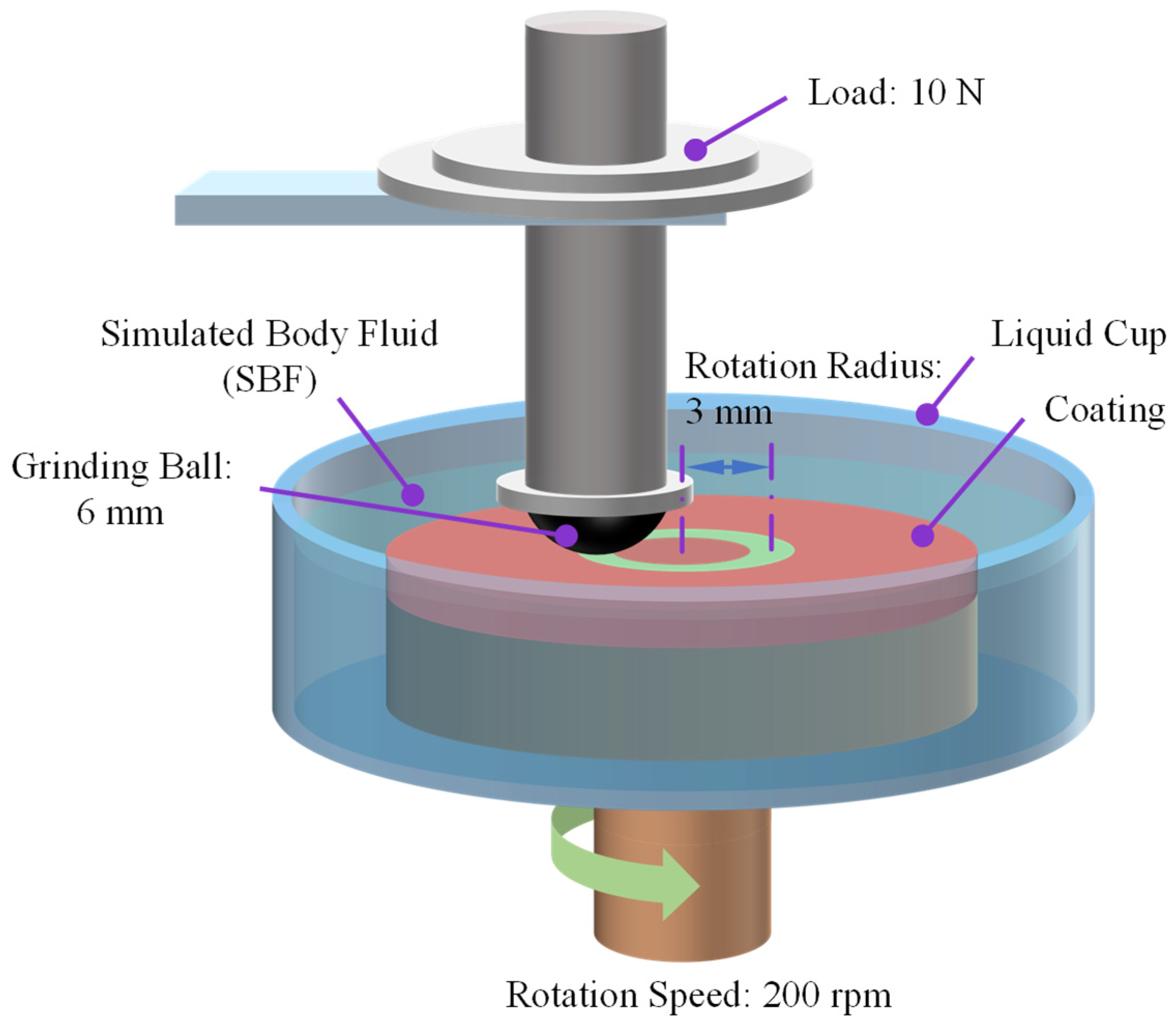 Coatings 12 00099 g003