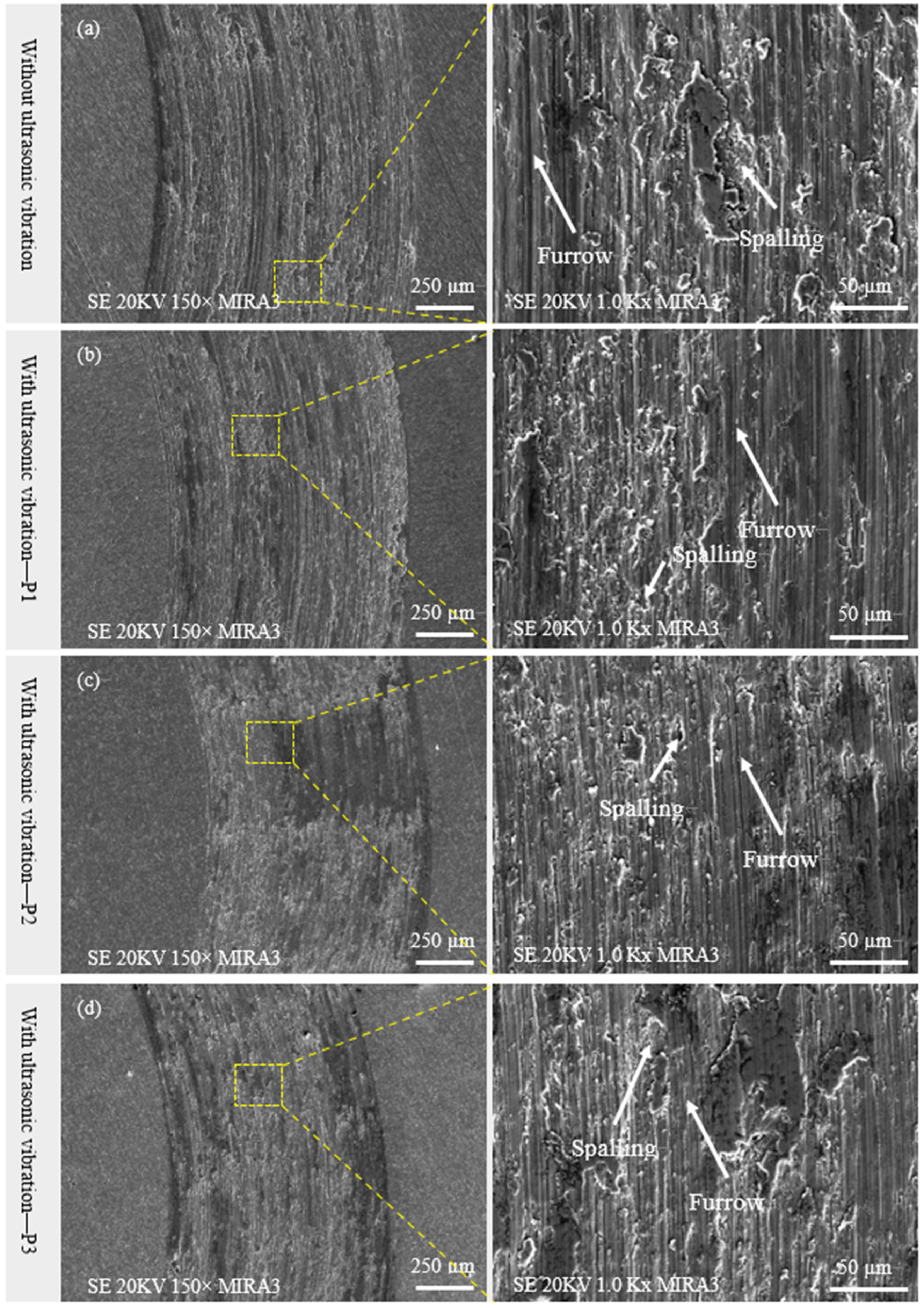 Coatings 12 00099 g013