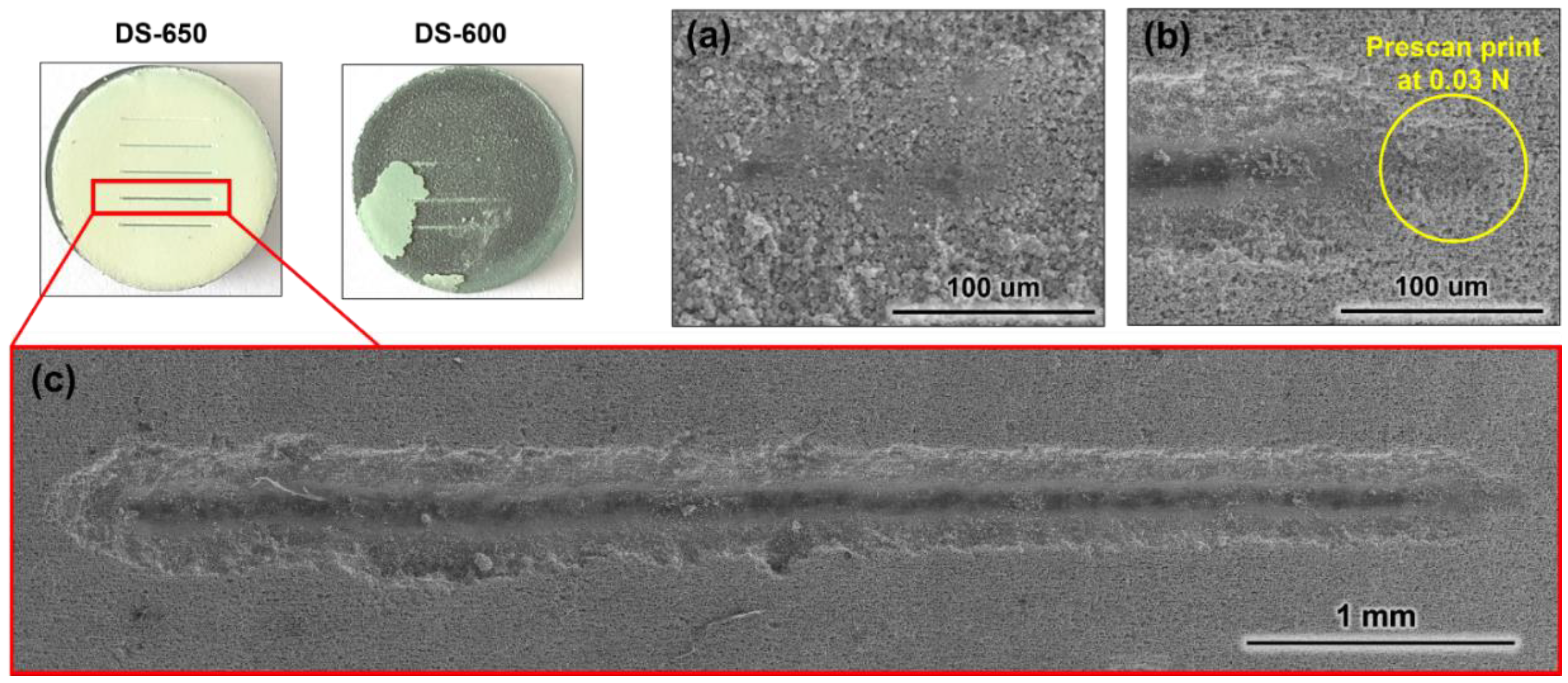 Coatings 12 00106 g006